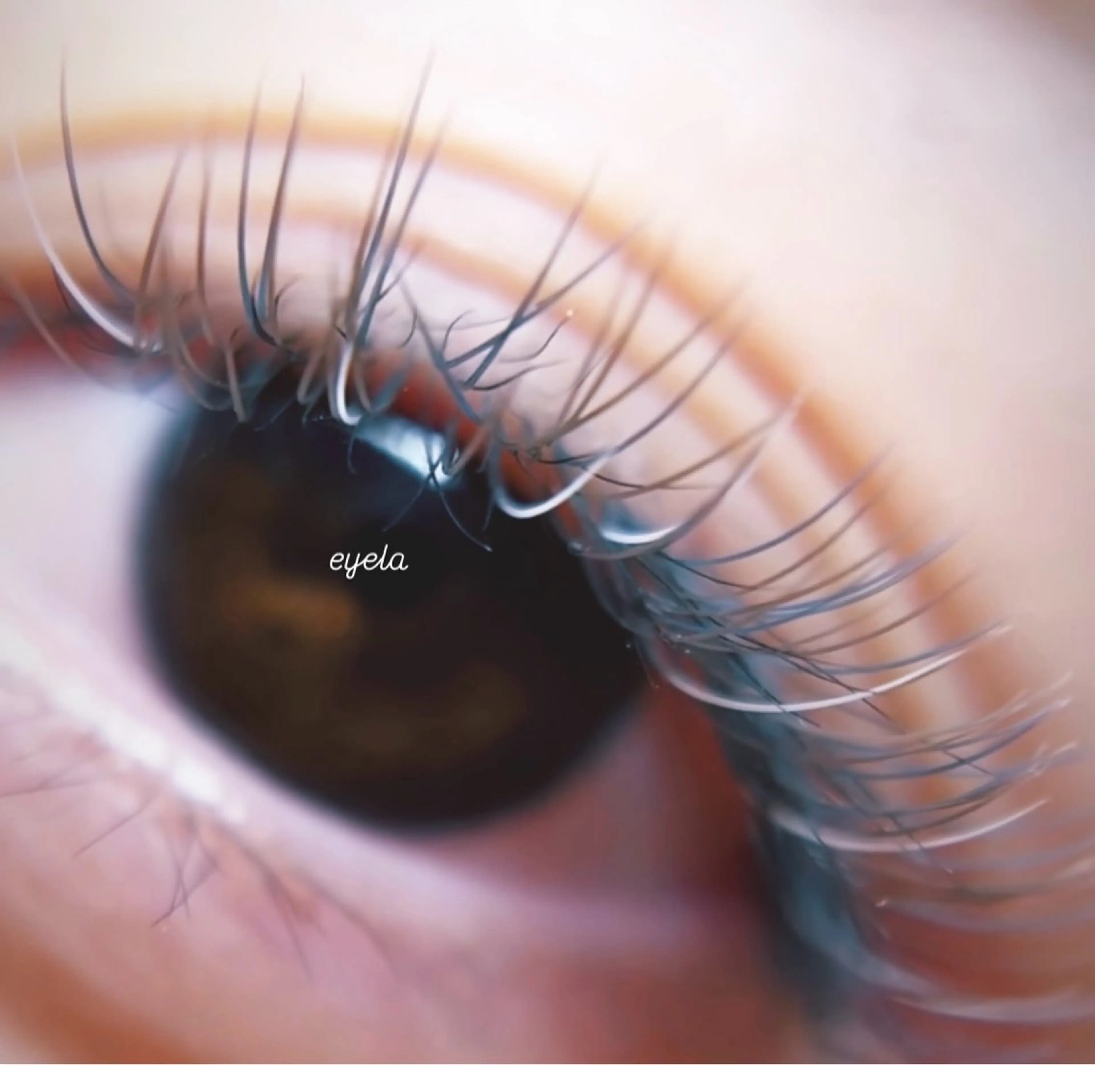 マツエク・マツパ マツエク EYELA高田馬場 matsushitaのマツエク・マツパデザイン