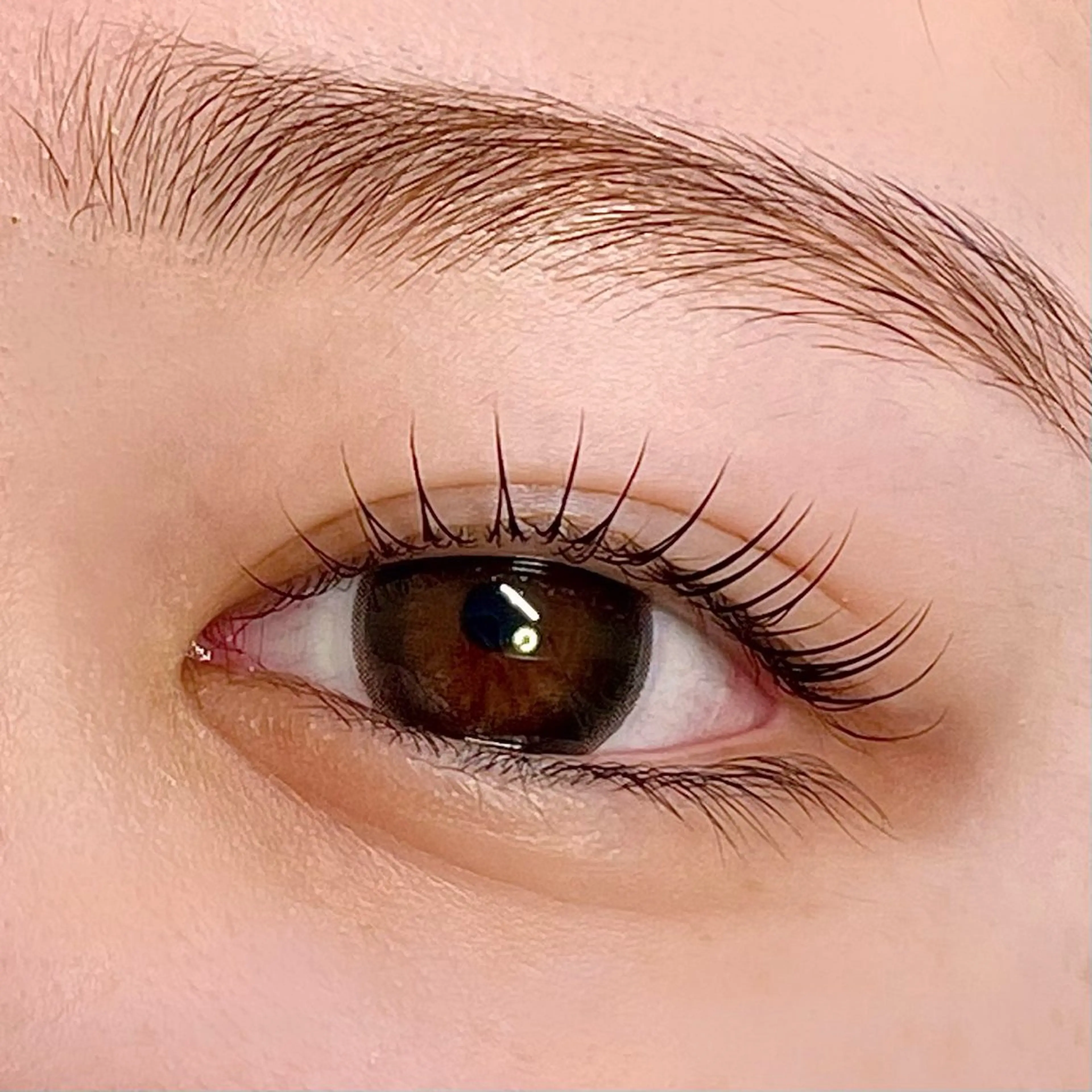 マツエク・マツパ MeriSPA 🩵の眉毛・アイブロウイメージ