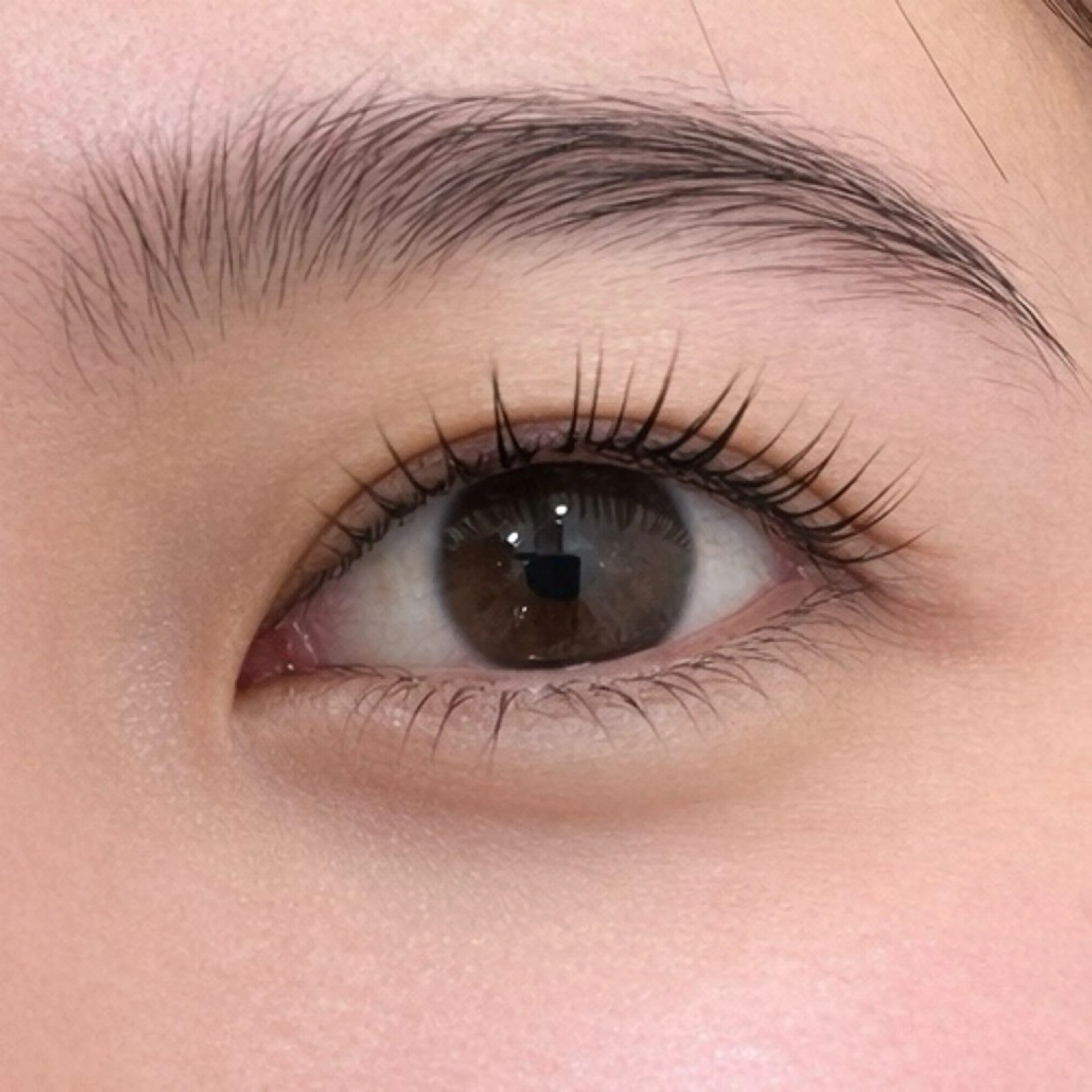 マツエク・マツパ パリジェンヌラッシュリフト 一重×まつ毛パーマ マツパ Pualice 船崎のマツエク・マツパデザイン