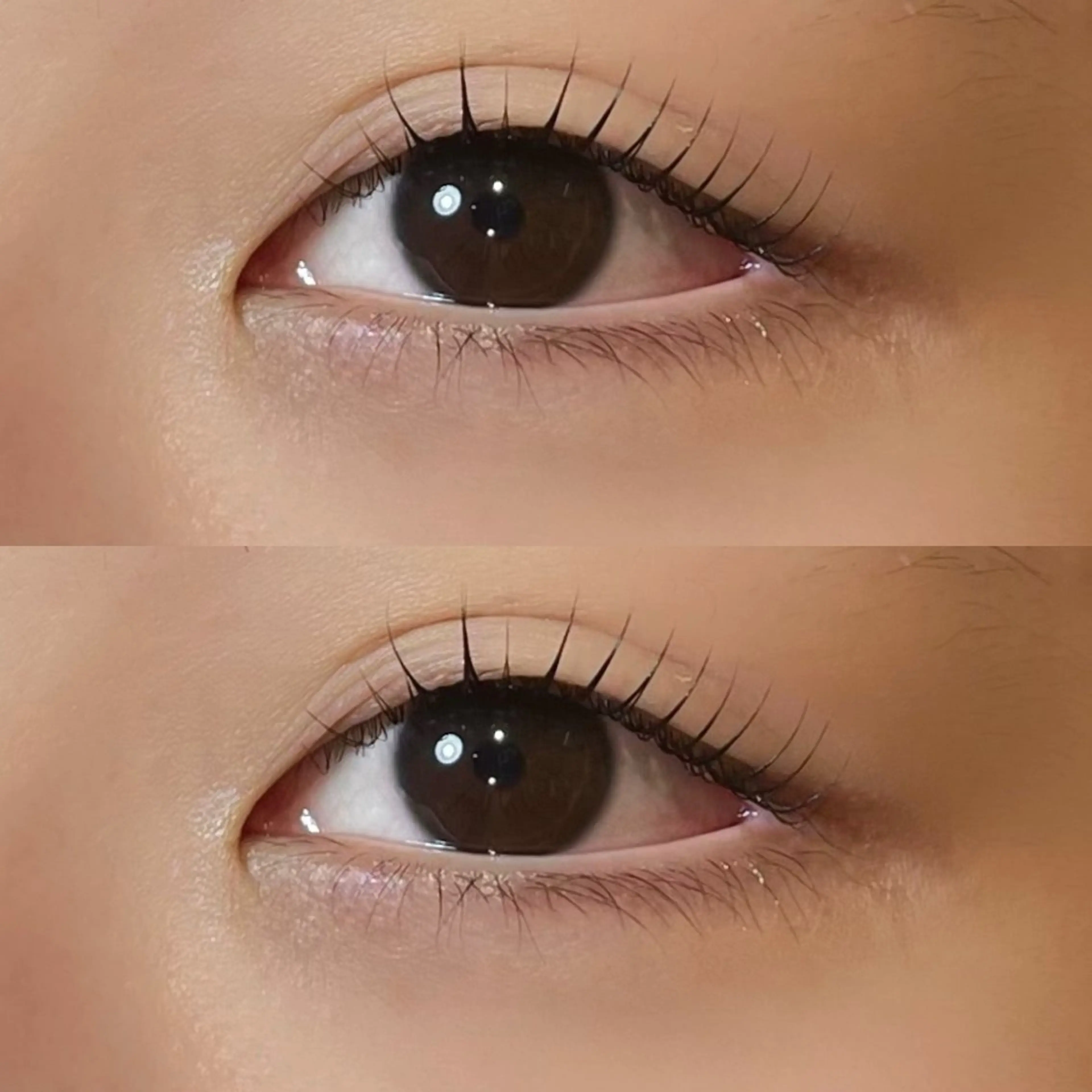 マツエク・マツパ 𝒆𝒊𝒈𝒉𝒕 杏花のマツエク・マツパデザイン