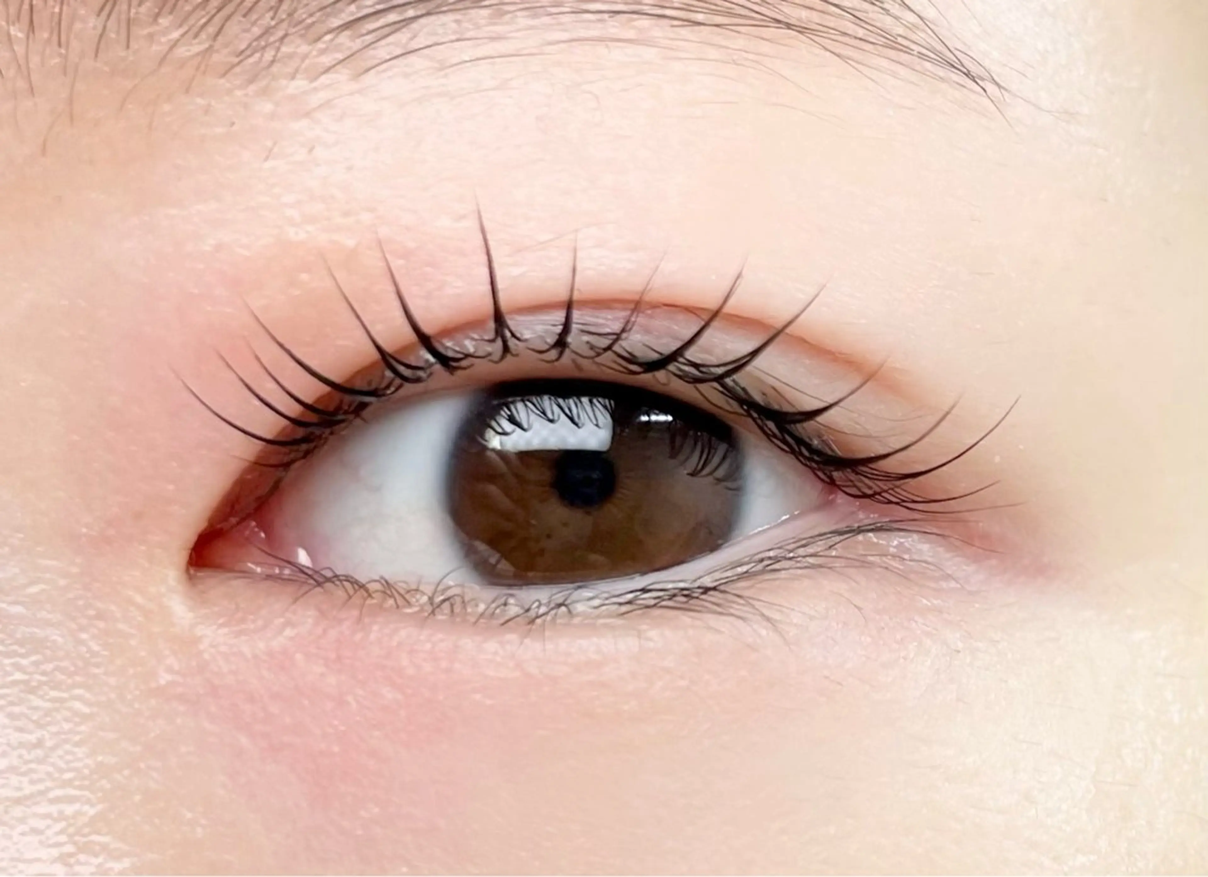 マツエク・マツパ パリジェンヌラッシュリフト 一重×まつ毛パーマ ank アンクのマツエク・マツパデザイン