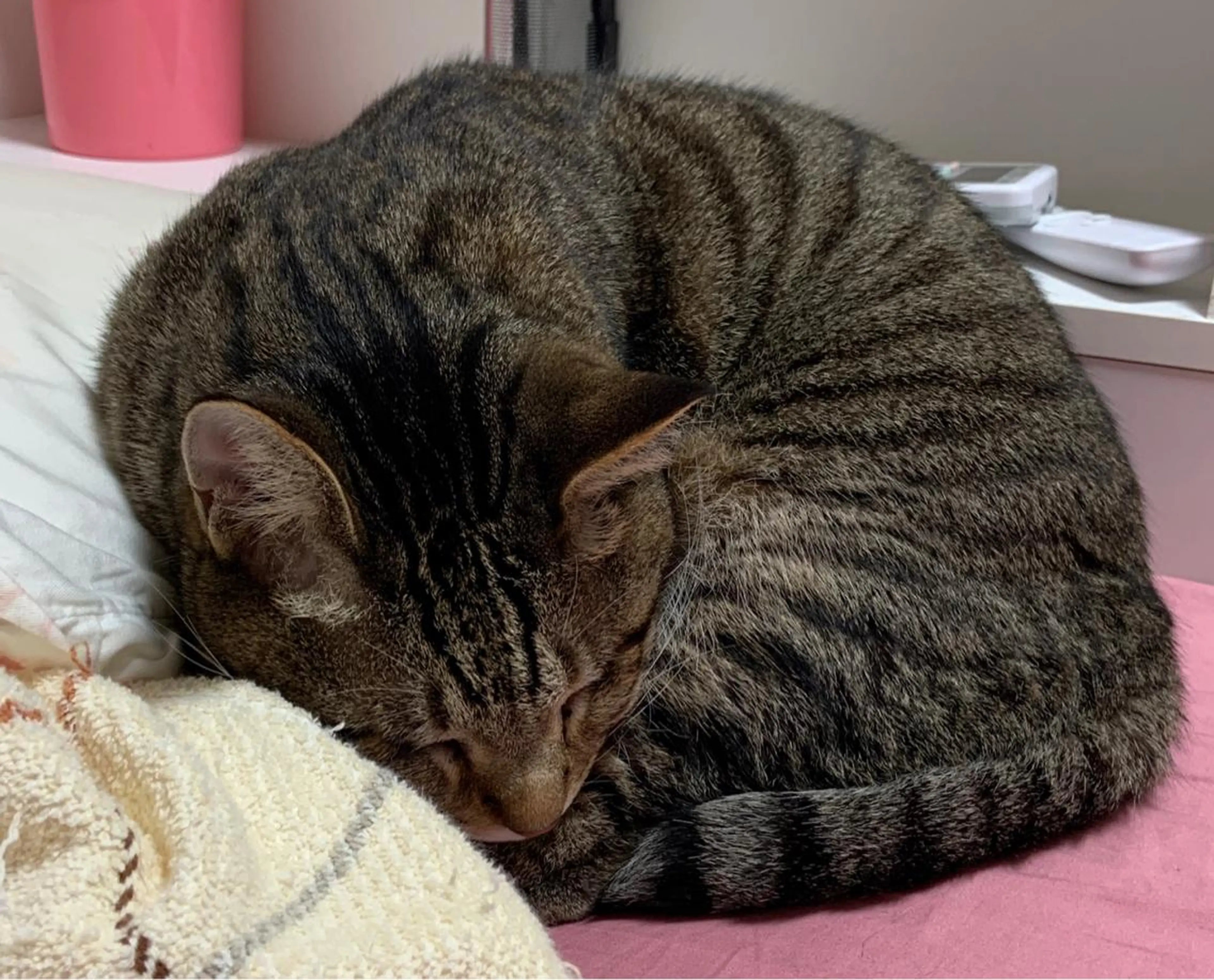 Nagomier  のエステ・リラクイメージ