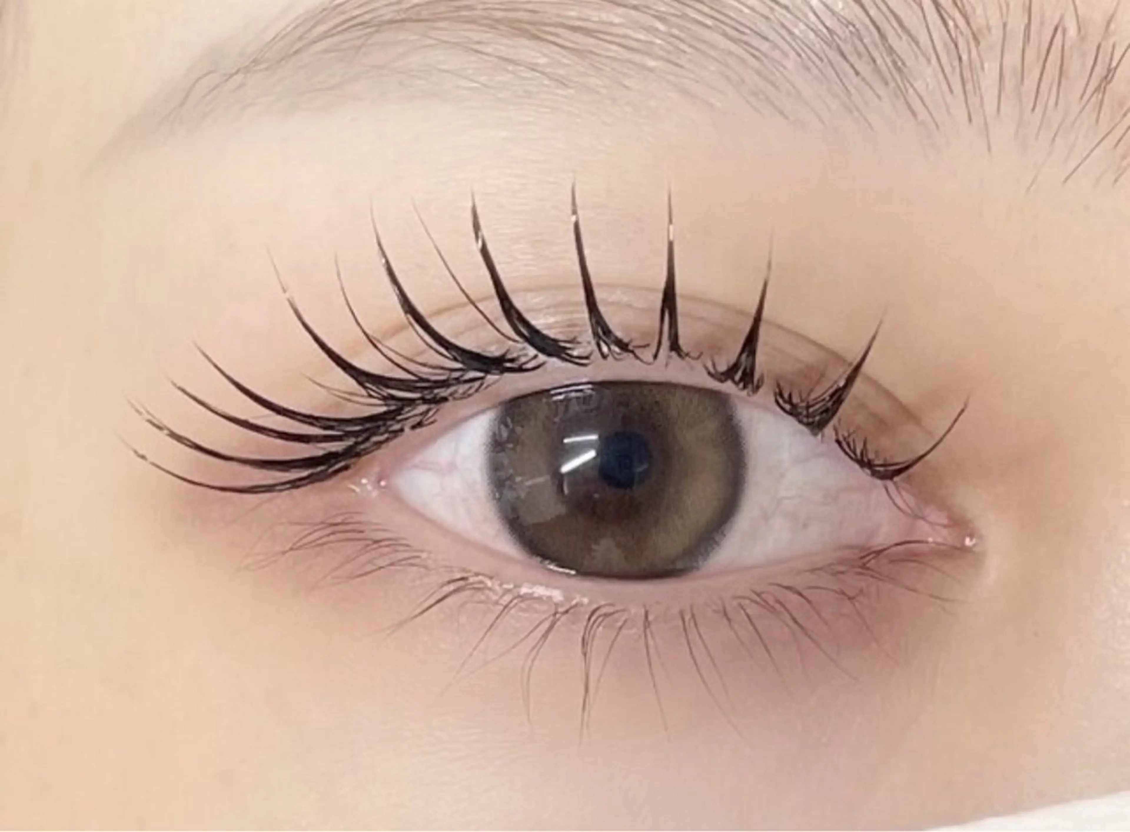 Wフラットラッシュ160本（オフありプラス1100円）の写真