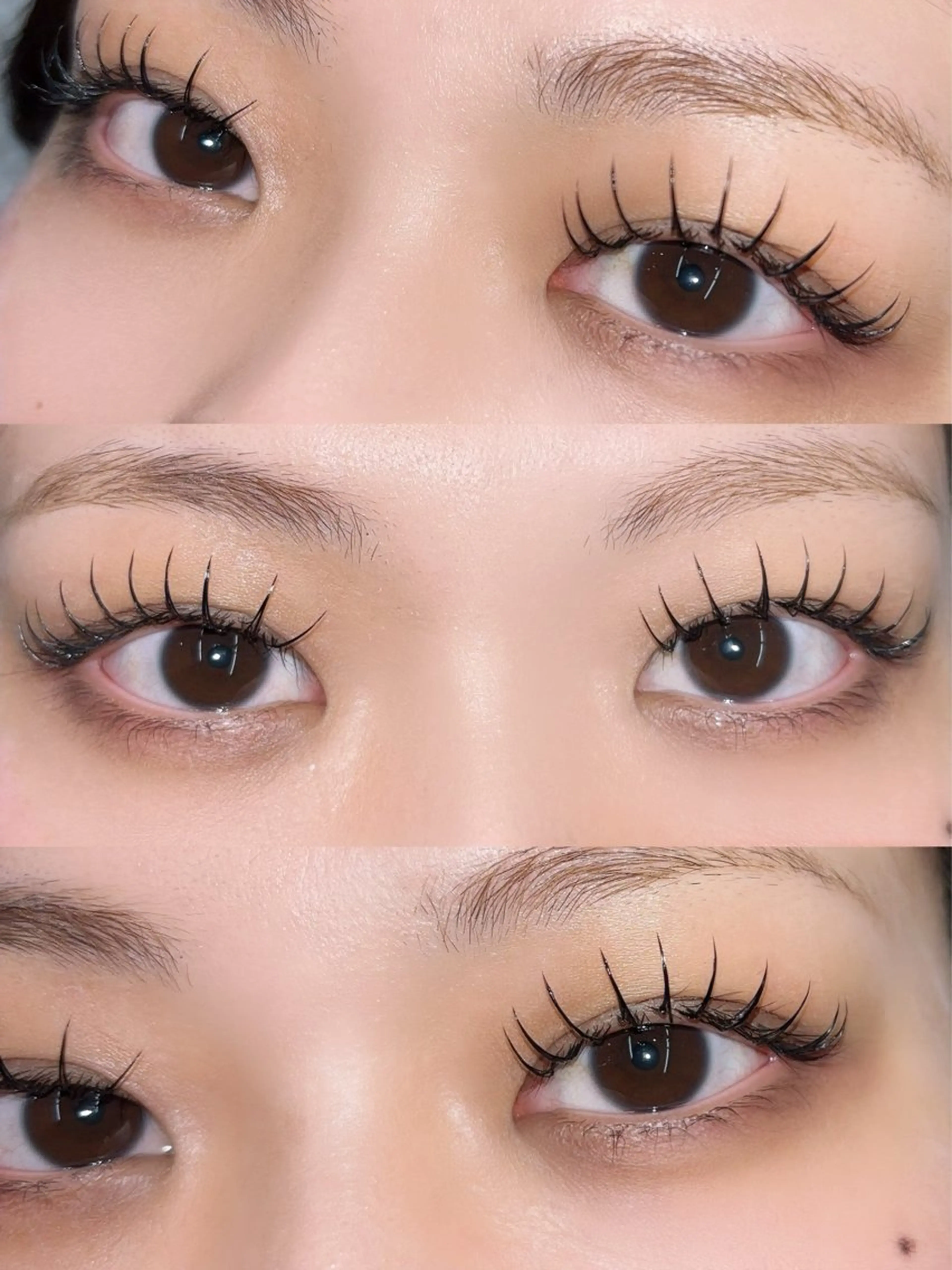 \2月限定/【LJ.LC.LDカール限定】flat lash((120本))の写真