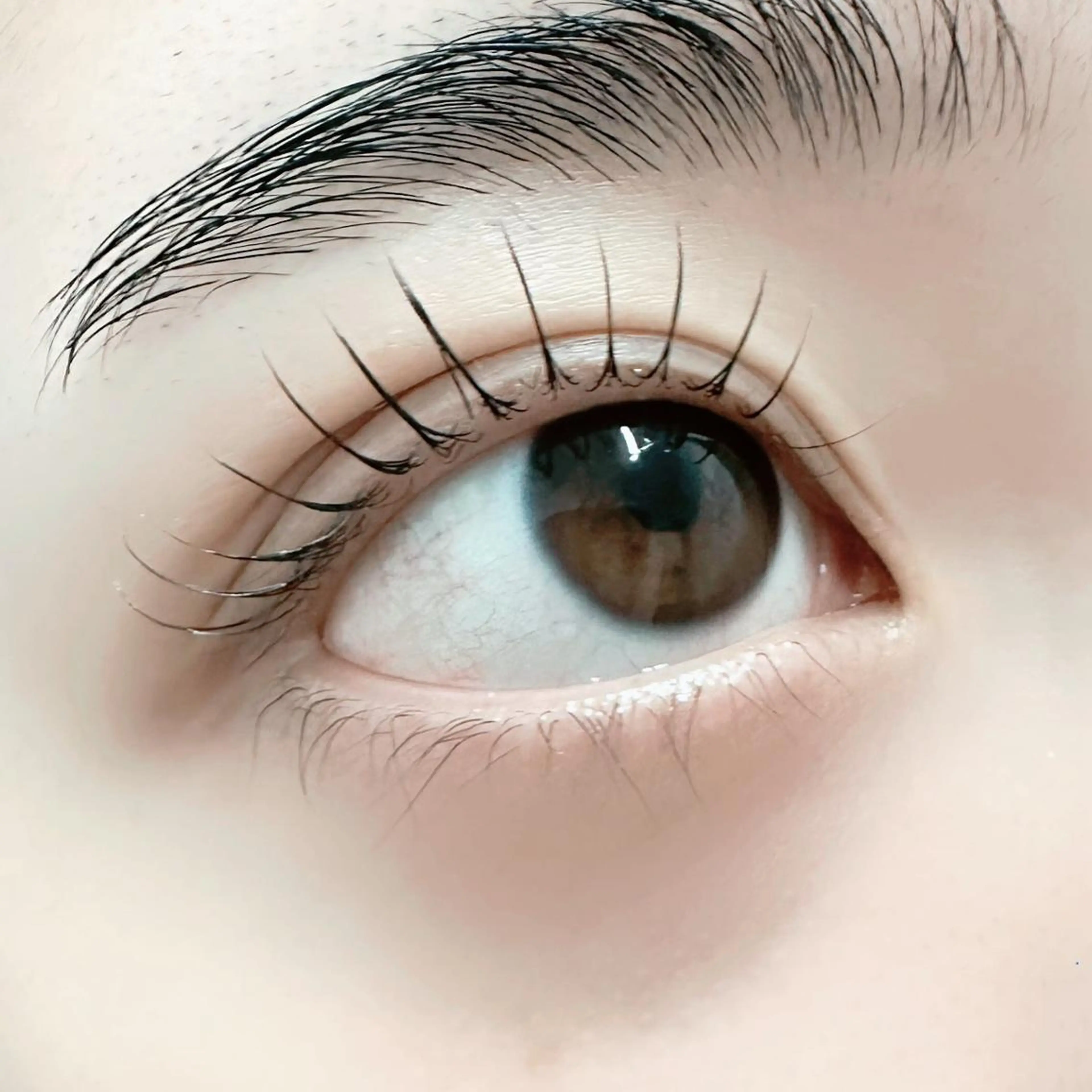 マツエク・マツパ マツパ K's LASH.のマツエク・マツパデザイン