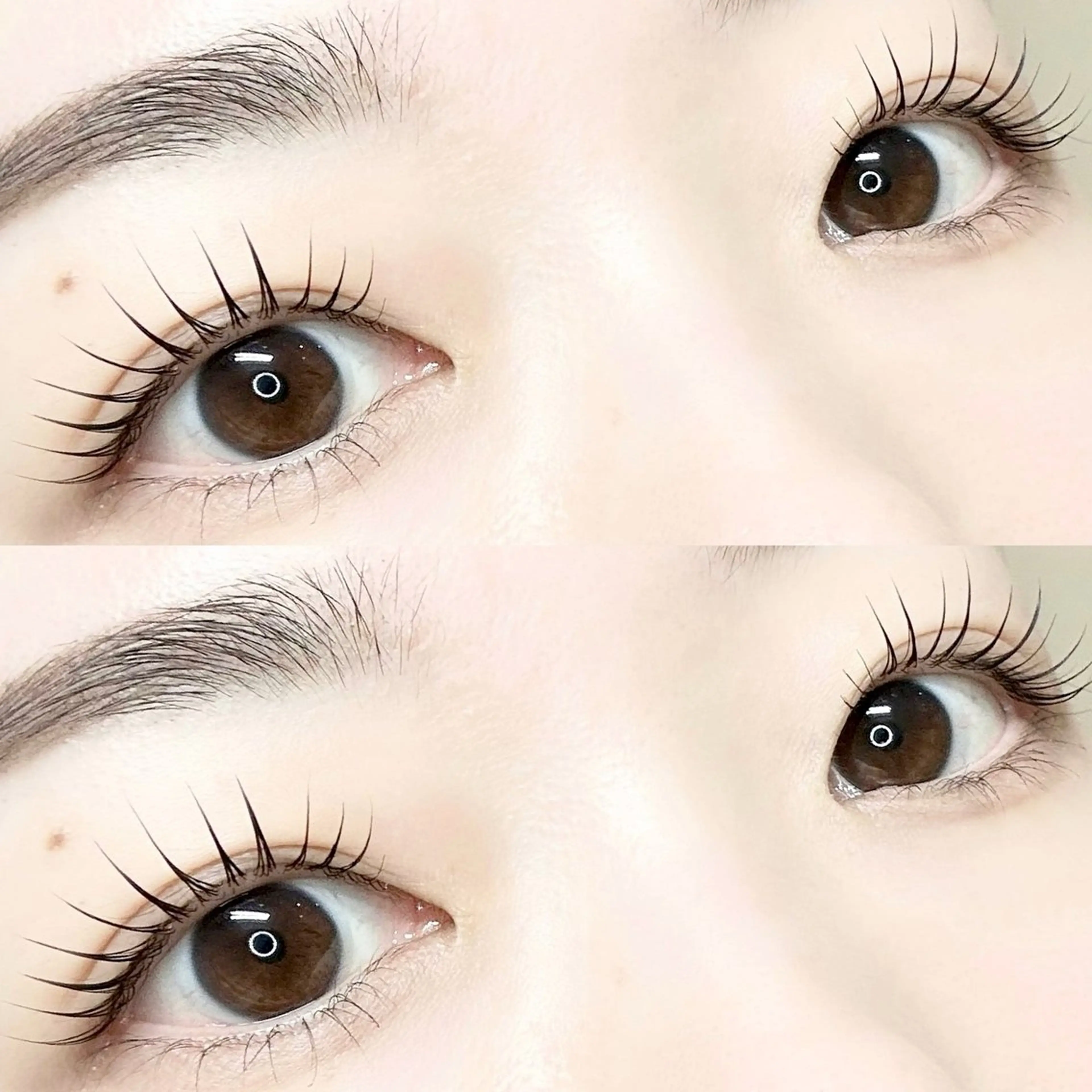 【4/1限定🎀】まつ毛パーマ上のみの写真