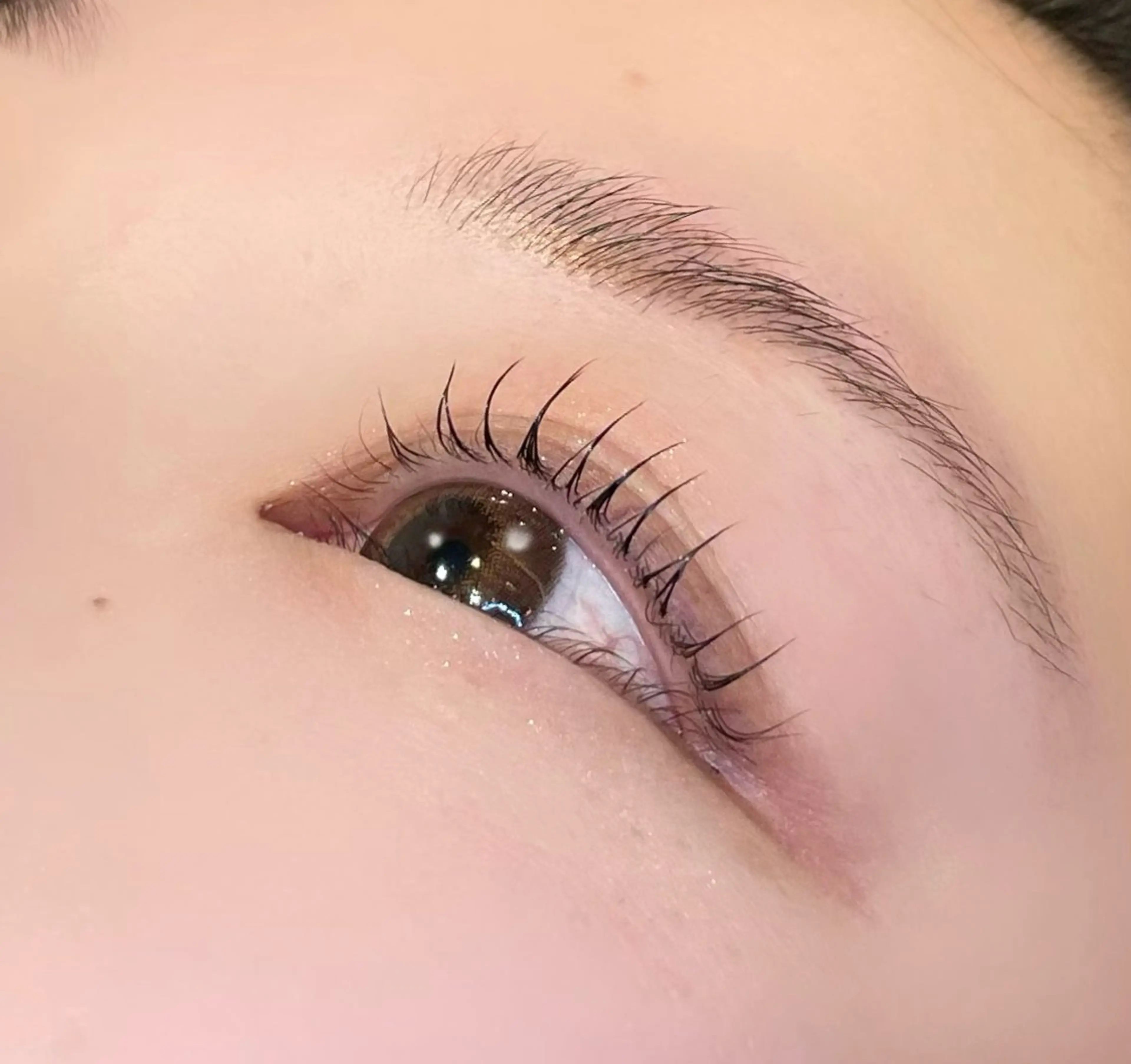 【4月15、17日限定👌🏻 ̖́-︎】🩵束感まつ毛パーマ🩵コーティング仕上げの写真