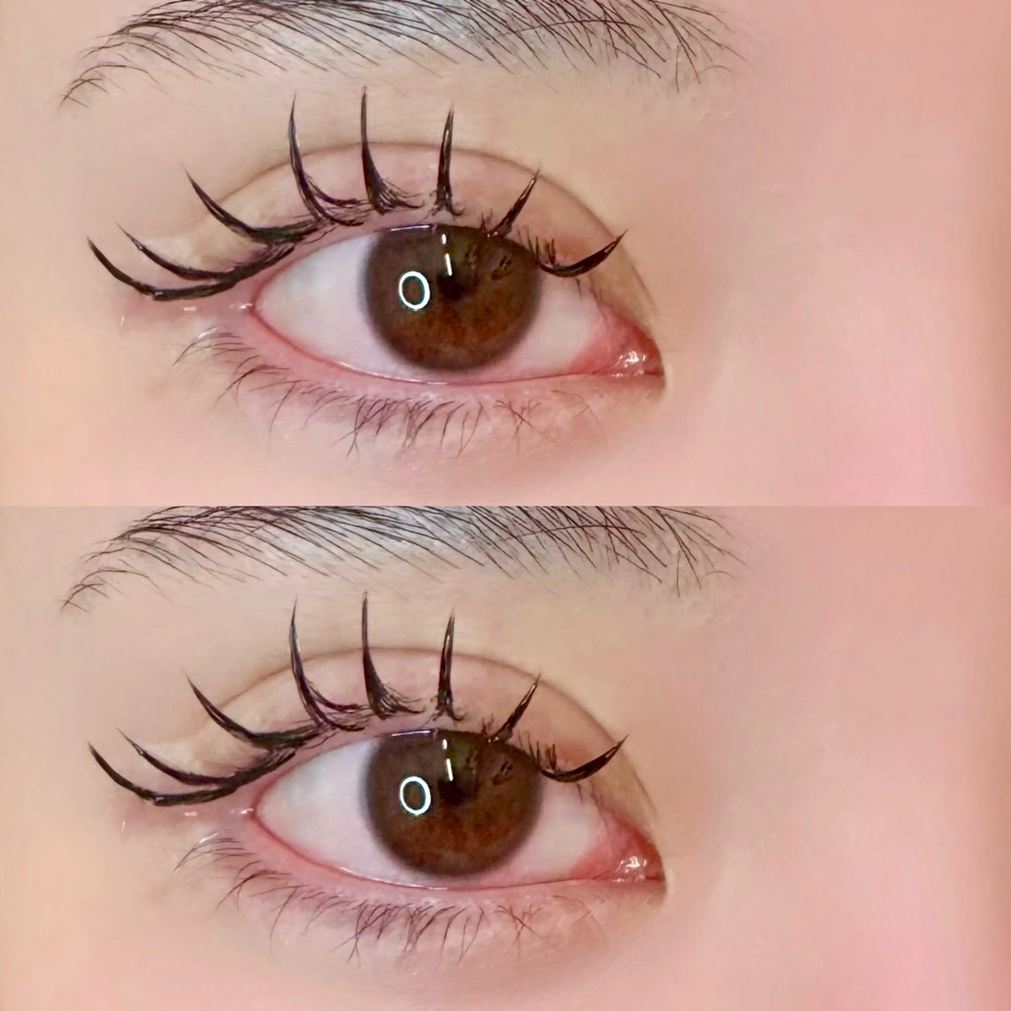 《人気No.1🫧》軽くて持ち◎120本フラットラッシュの写真