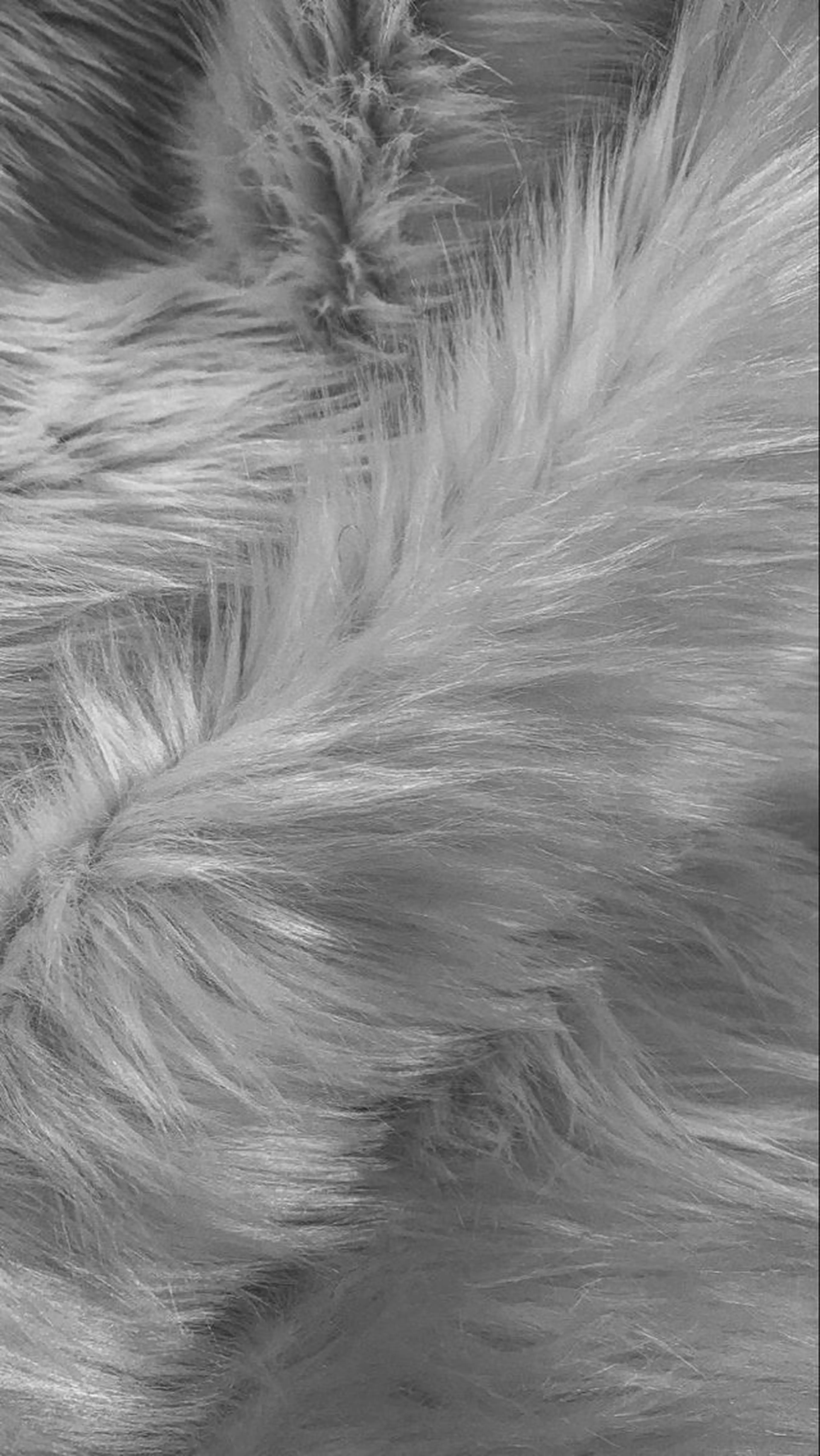 ∴Sanae. ∴ トータルビューティーのマツエク・マツパデザイン