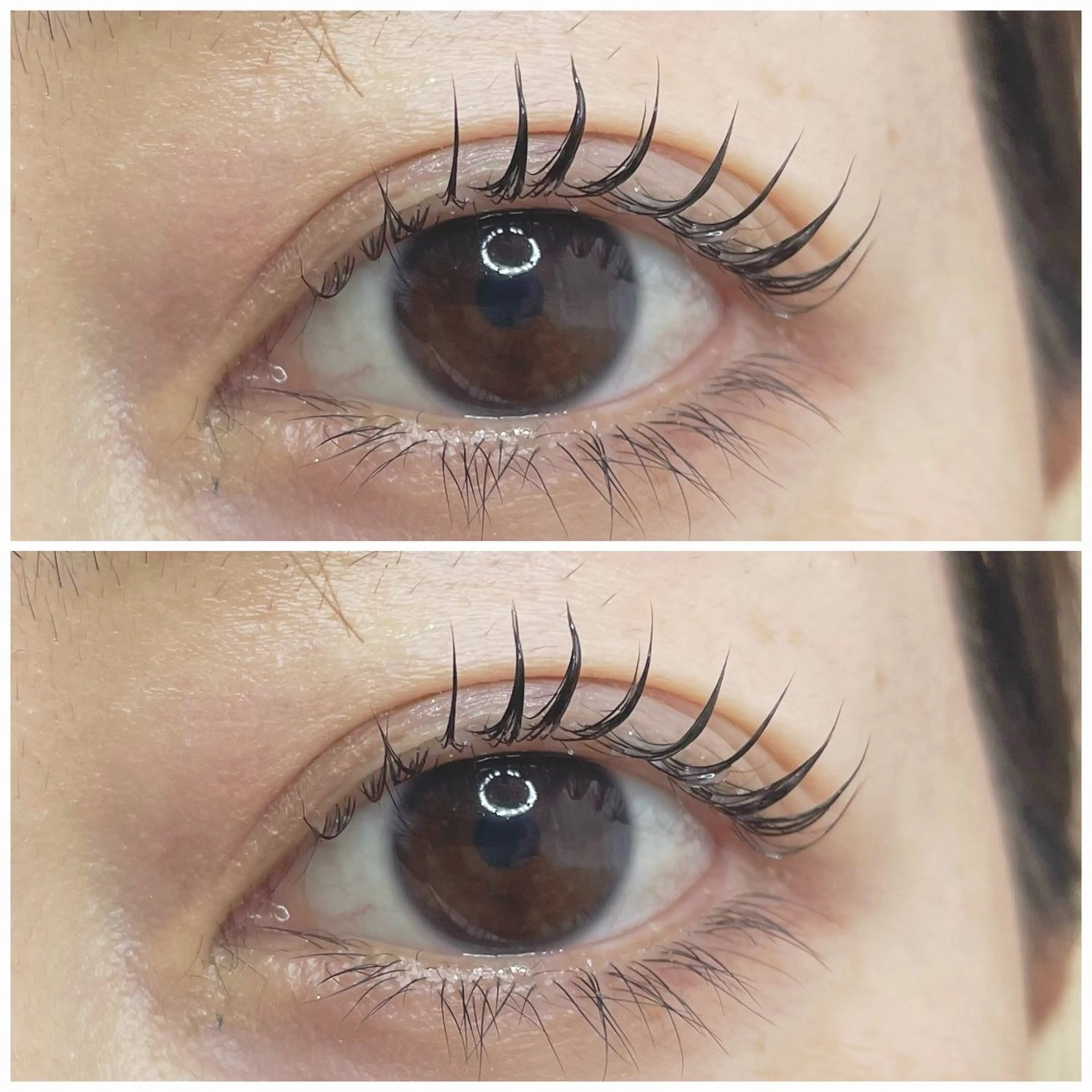 マツエク・マツパ ナチュラル 高橋 まなみのマツエク・マツパデザイン