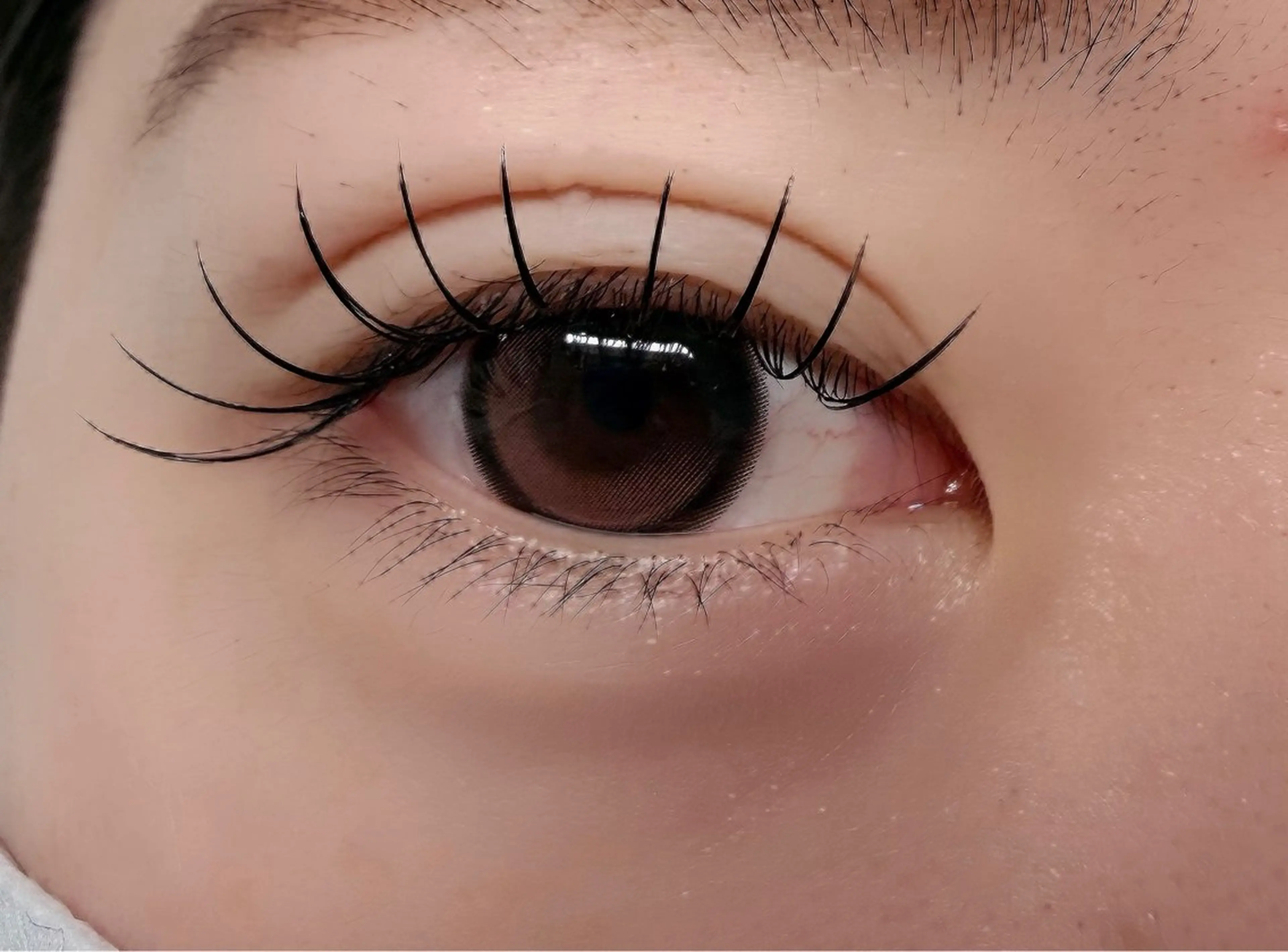 マツエク・マツパ フラットラッシュ マツエク ルチア💞 lucia高田馬場のマツエク・マツパデザイン