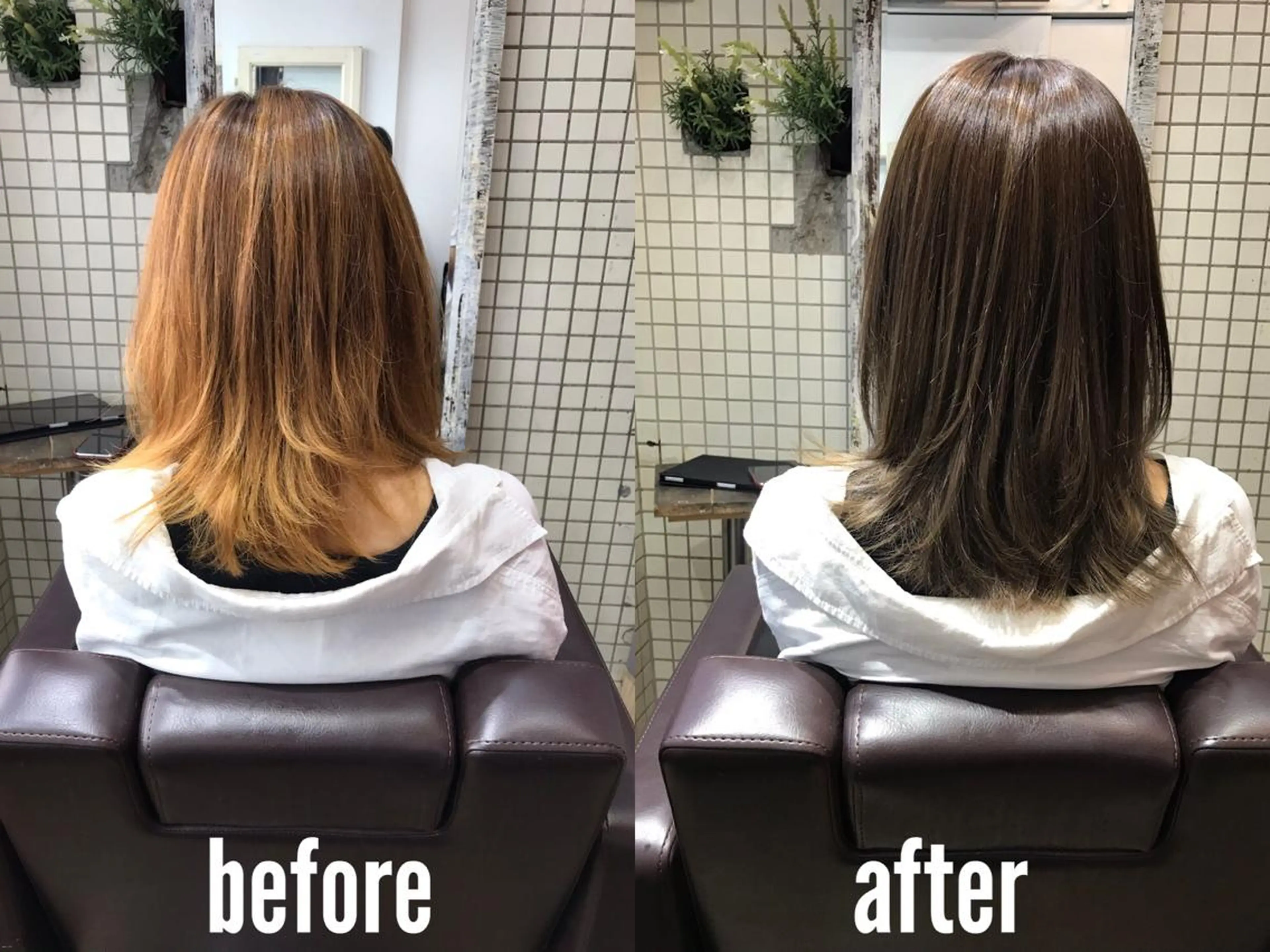 【オススメ】カット＆カラー＆毛髪強化の写真