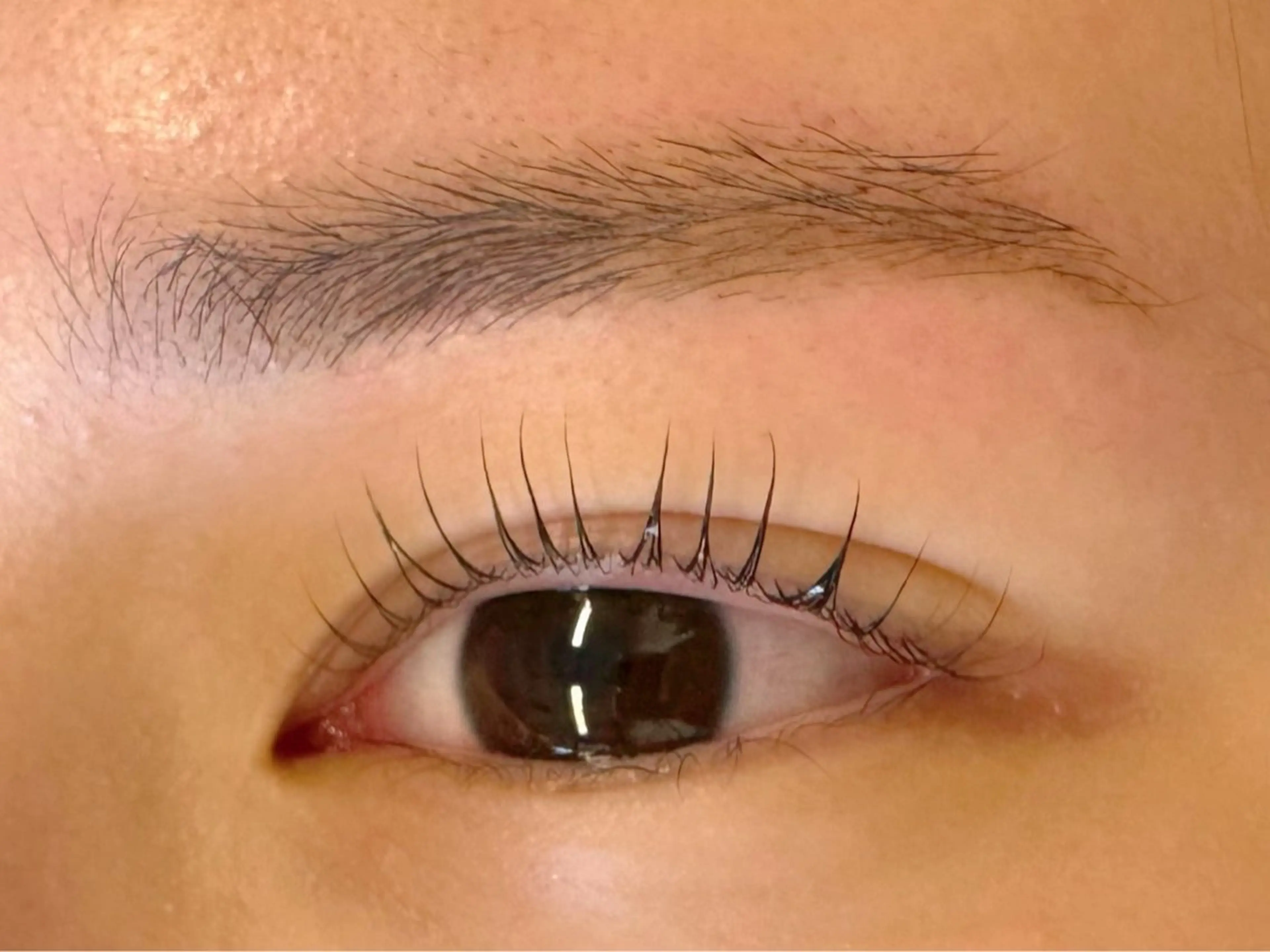 マツエク・マツパ ナチュラル Kanako 🌼のマツエク・マツパデザイン