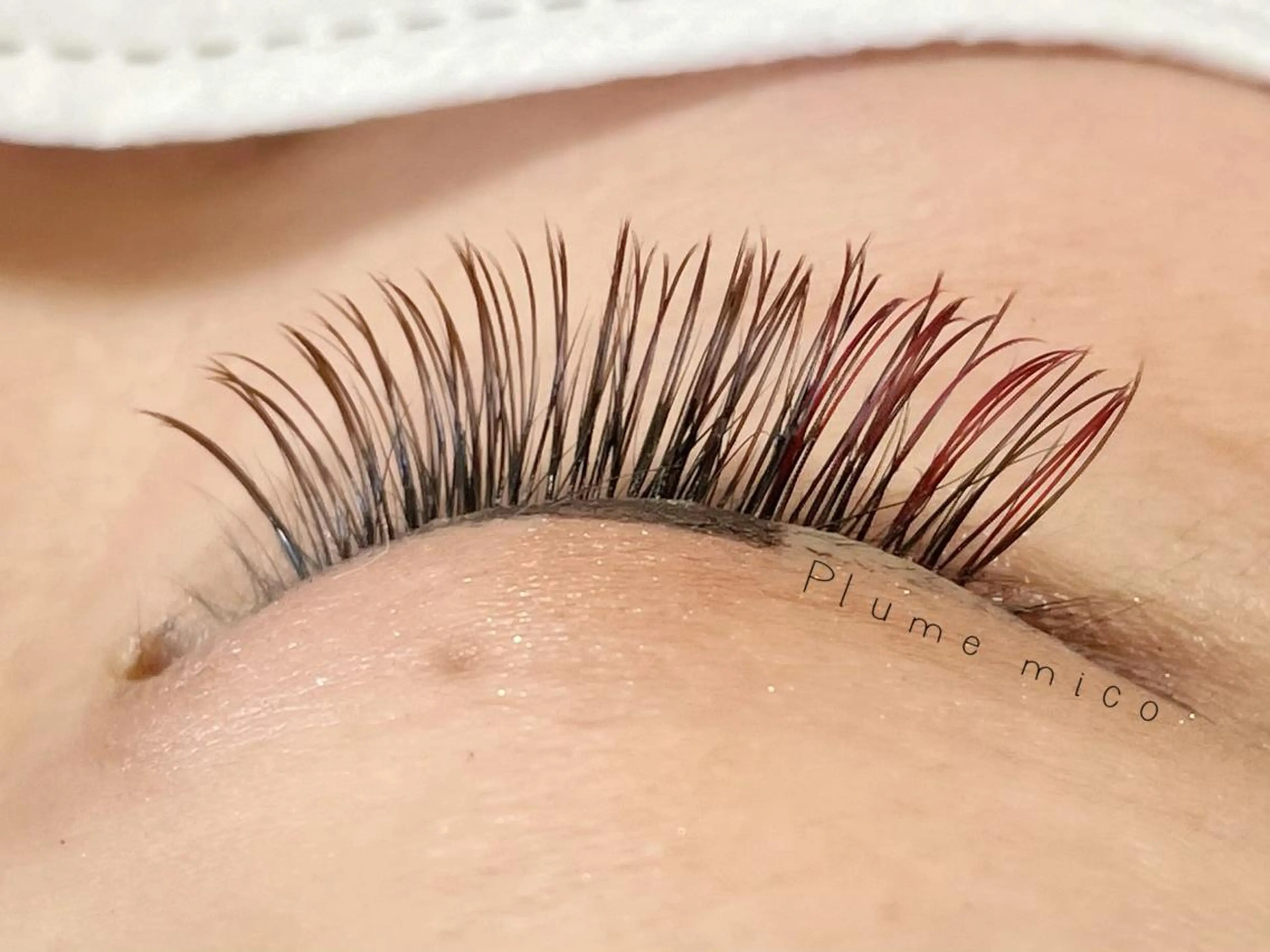 マツエク・マツパ マツエク Plume micoのマツエク・マツパデザイン