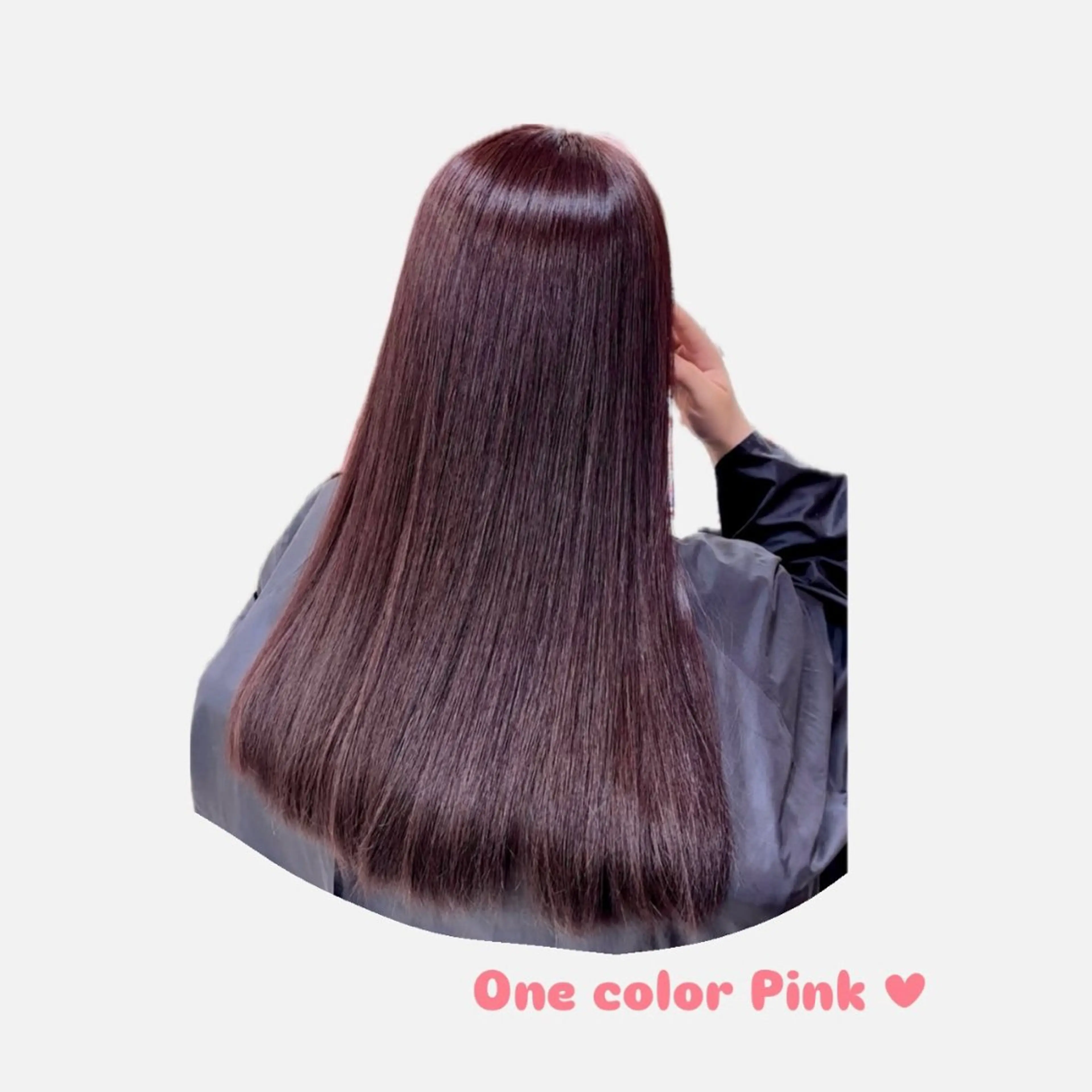 ワンカラー🩵の写真