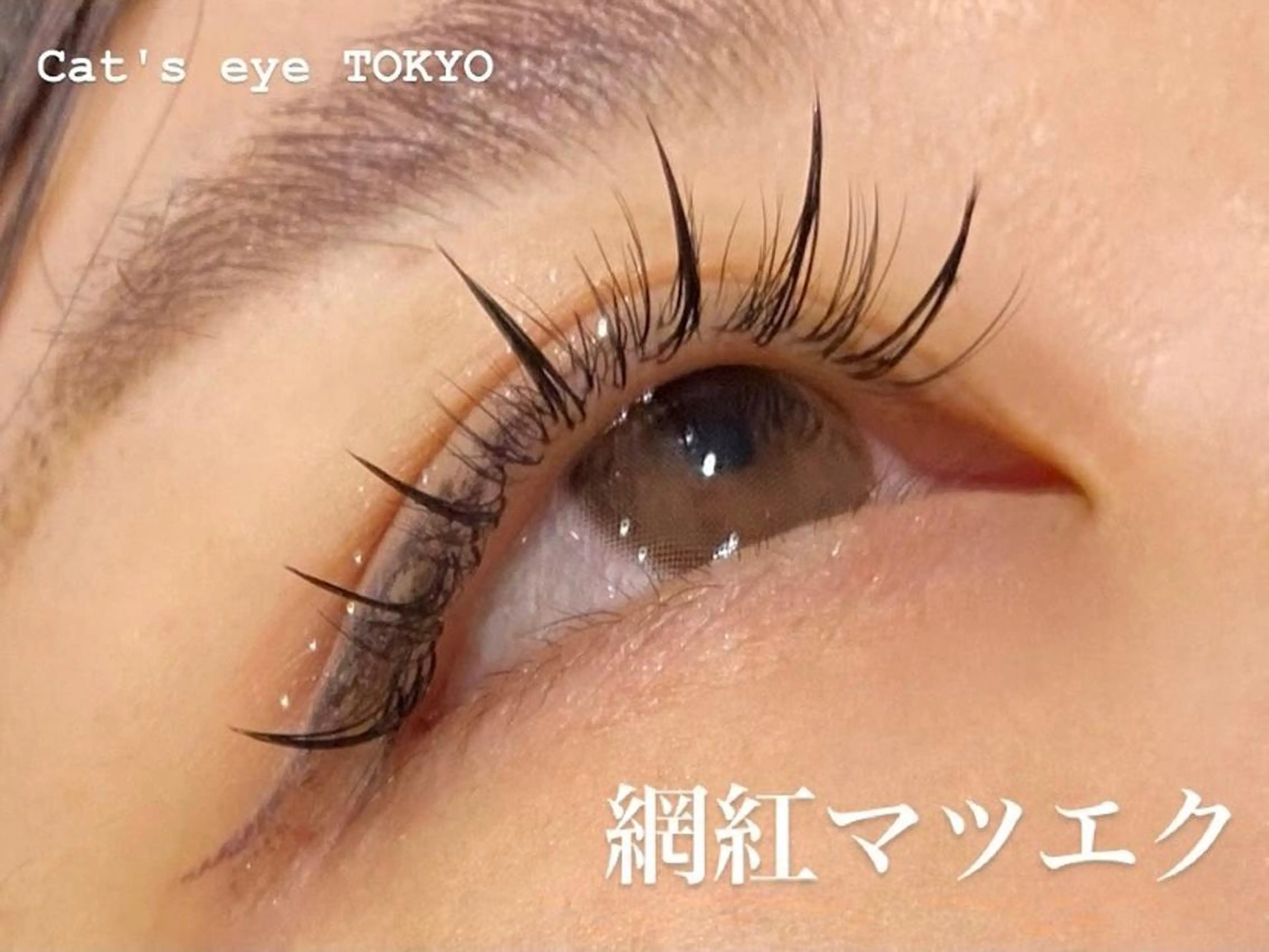 ネイル マツエク・マツパ フラットラッシュ ボリュームラッシュ ワンホンマツエク ワンホンネイル Cat's eye TOKYO 新宿店のネイルデザイン