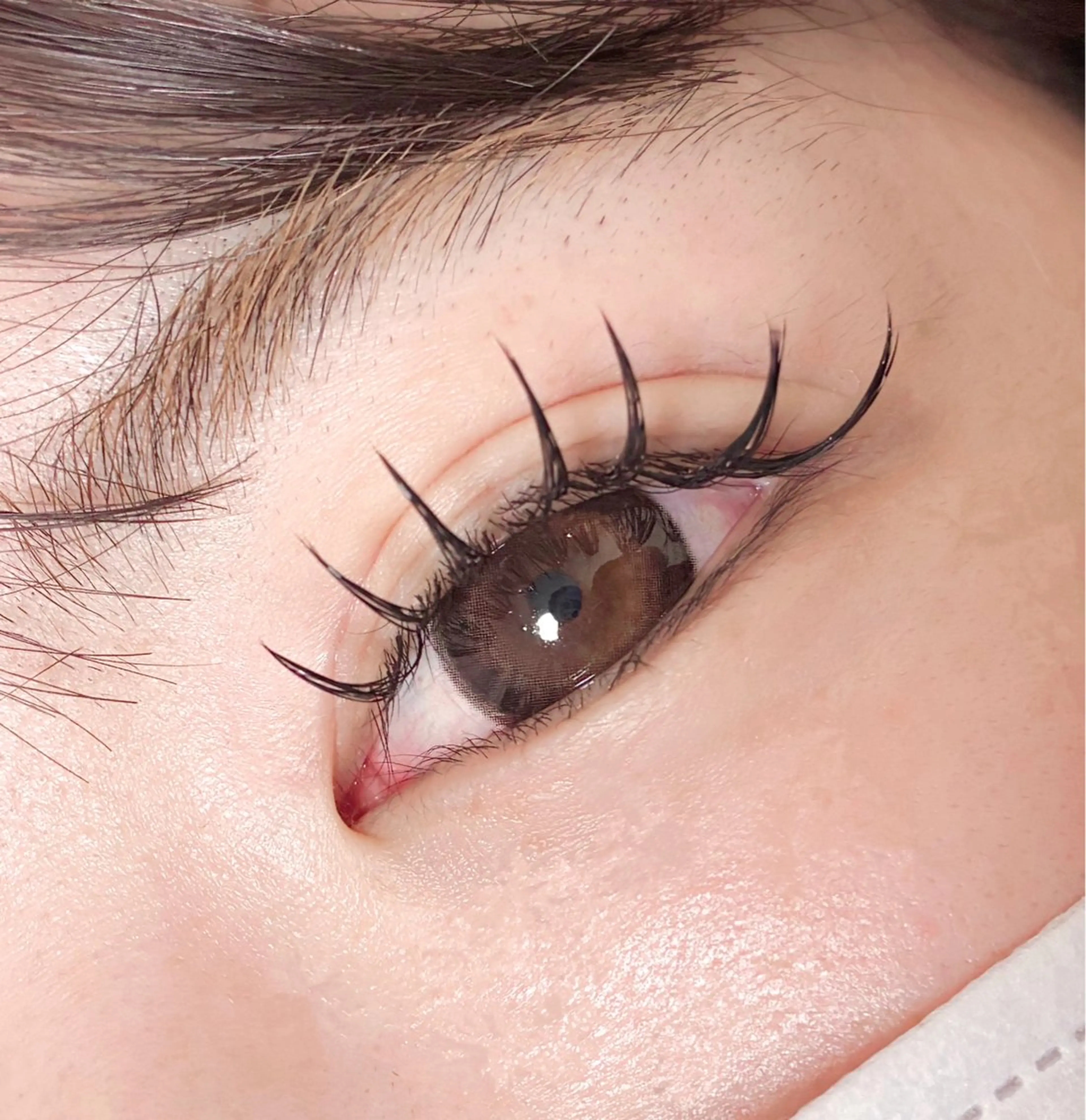 マツエク・マツパ マツエク eyelash/ Coaのマツエク・マツパデザイン