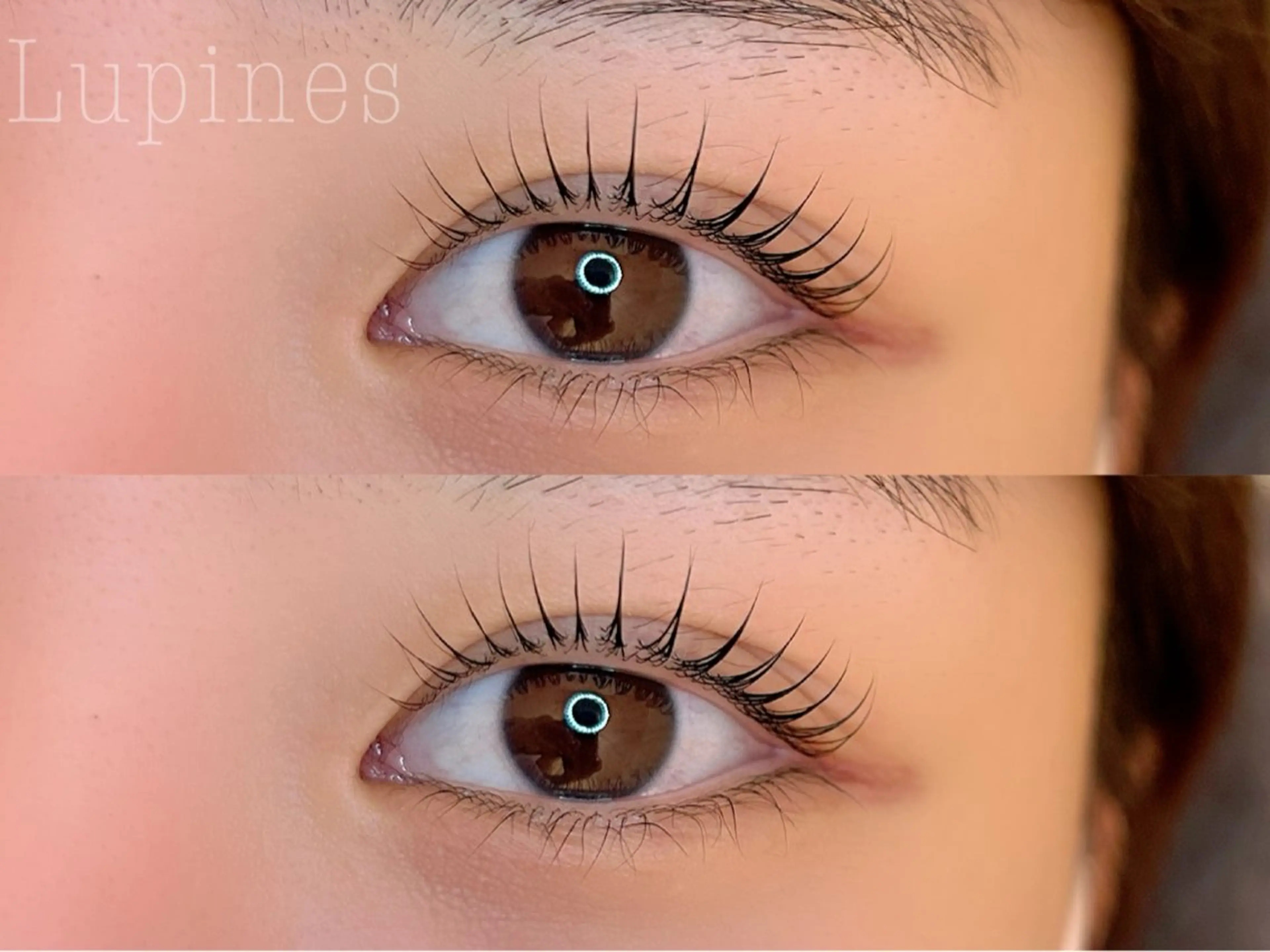 マツエク・マツパ 🌱Lupines Natsumi🌱のマツエク・マツパデザイン