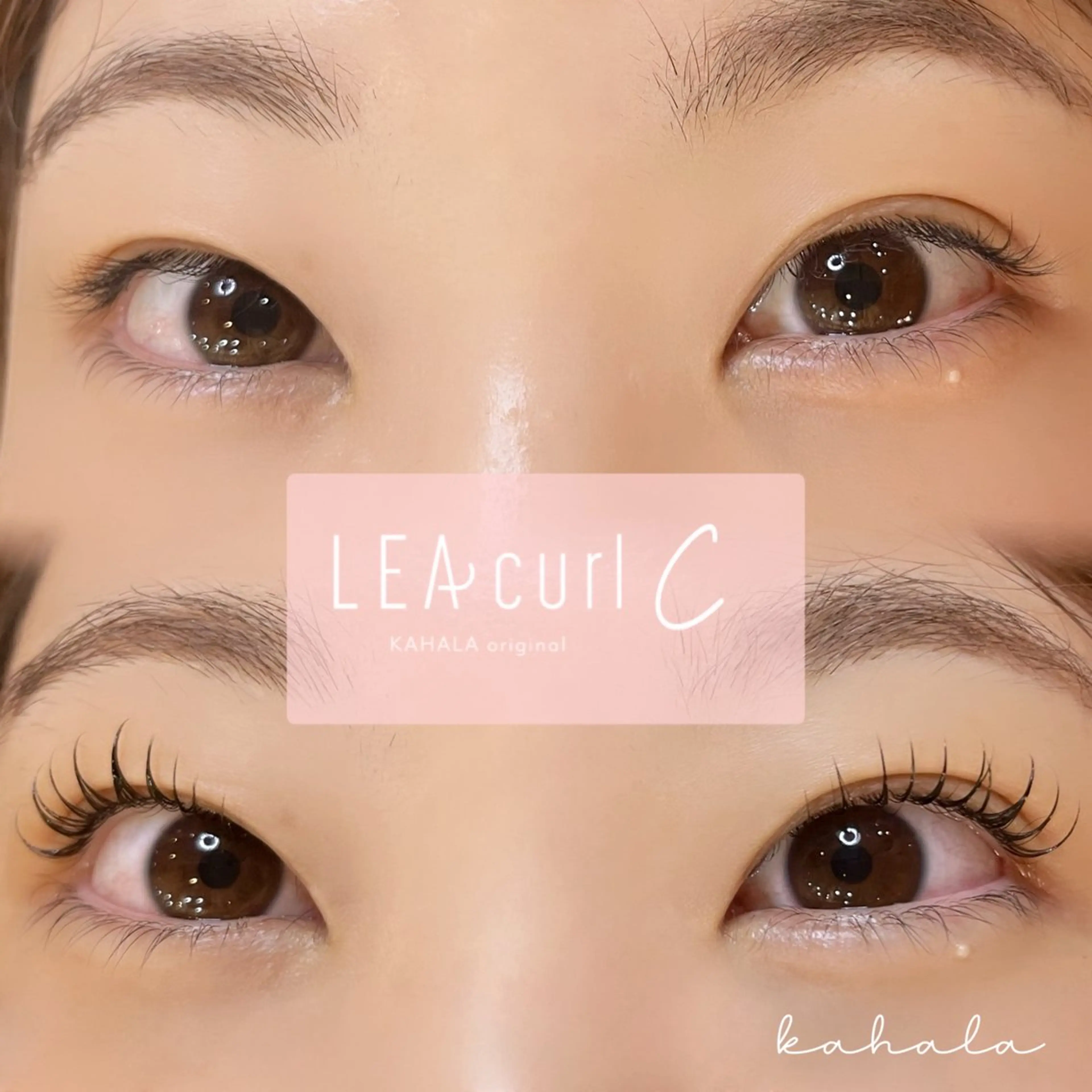 マツエク・マツパ Fujimoto 🦭⸝⋆꙳のマツエク・マツパデザイン