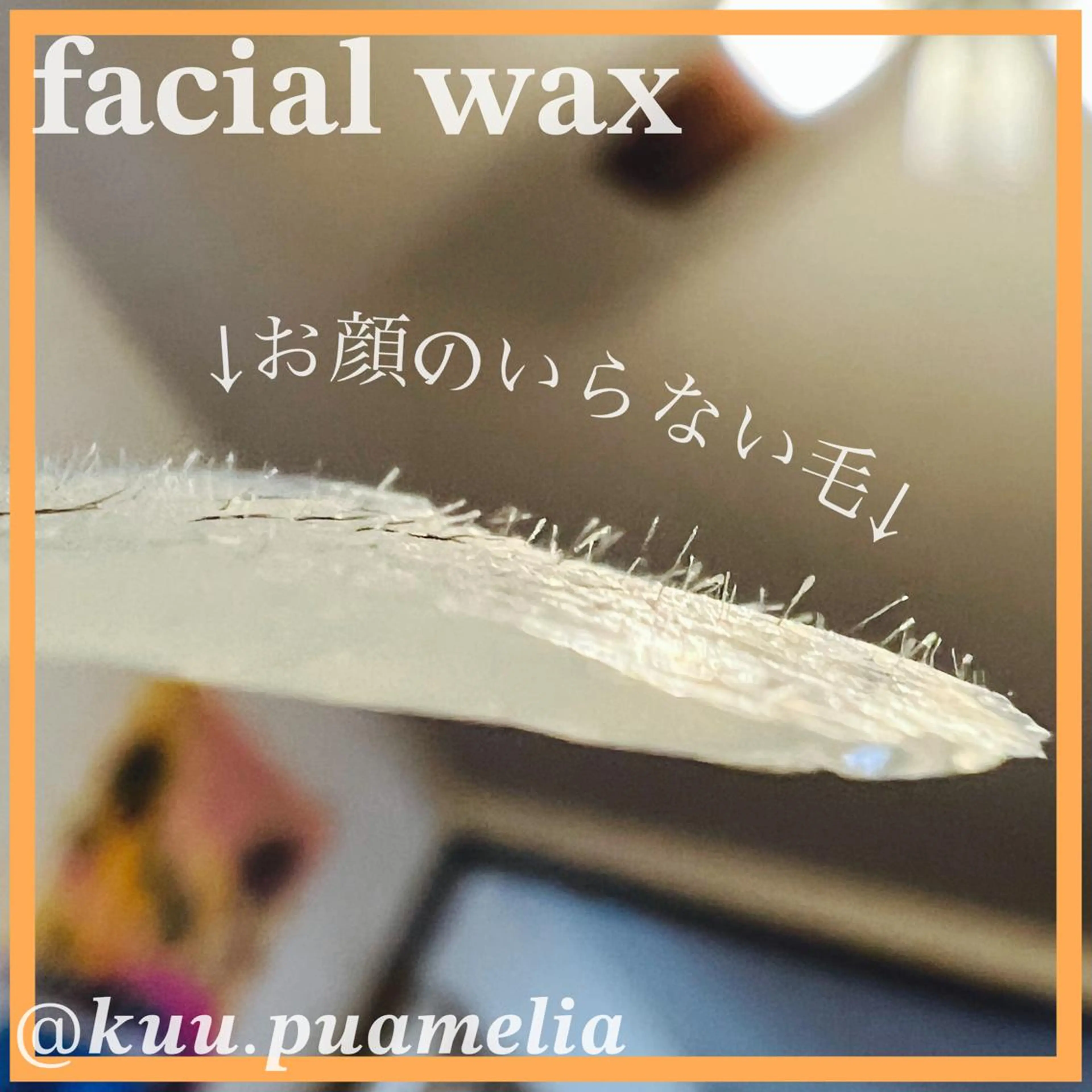 アイブロウ 眉毛ワックス脱毛 脱毛 Pua Meliaのマツエク・マツパデザイン