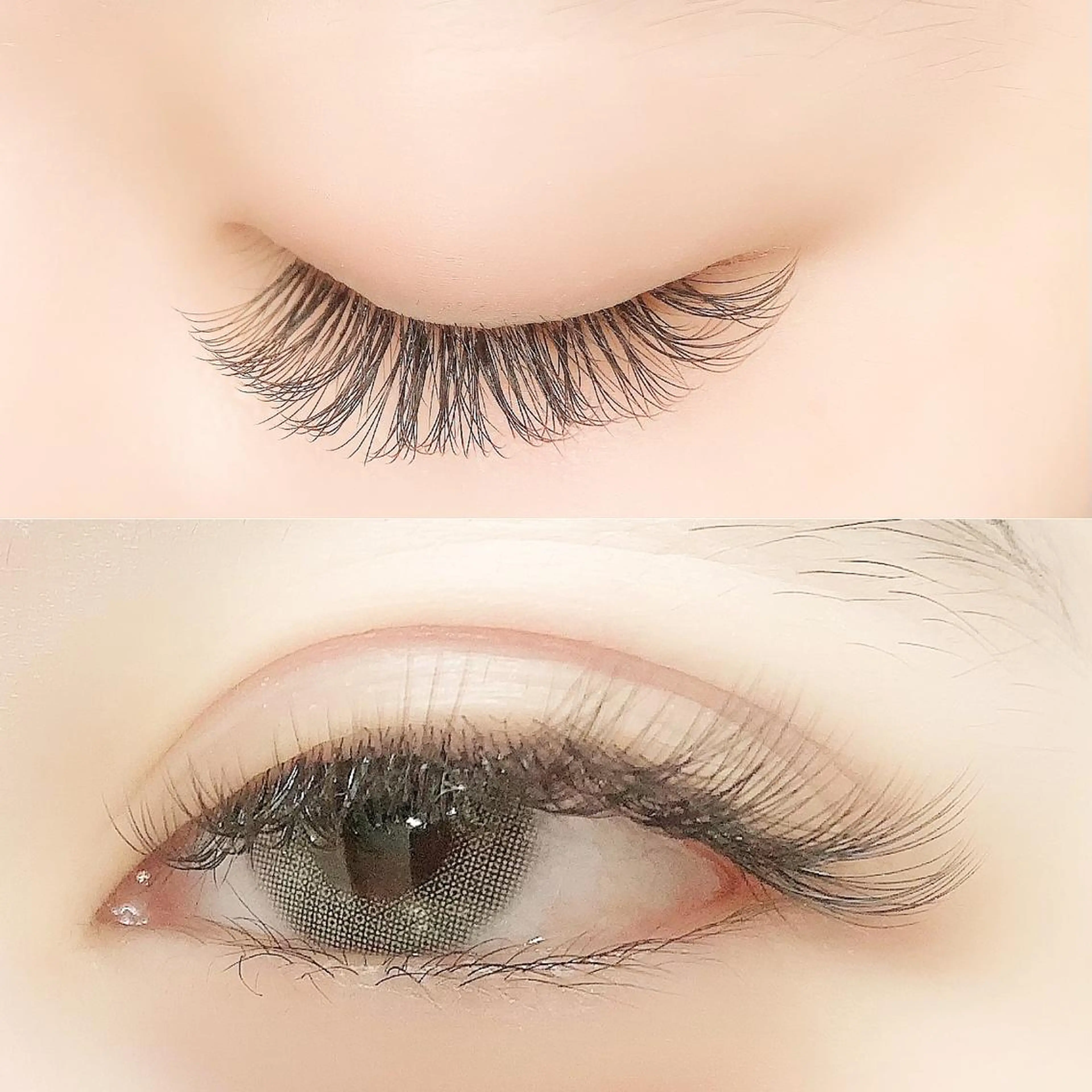 マツエク・マツパ Cカール キュート ボリュームラッシュ Lanhr所属・【Lanhr】 🕊aya🕊のマツエク・マツパデザイン