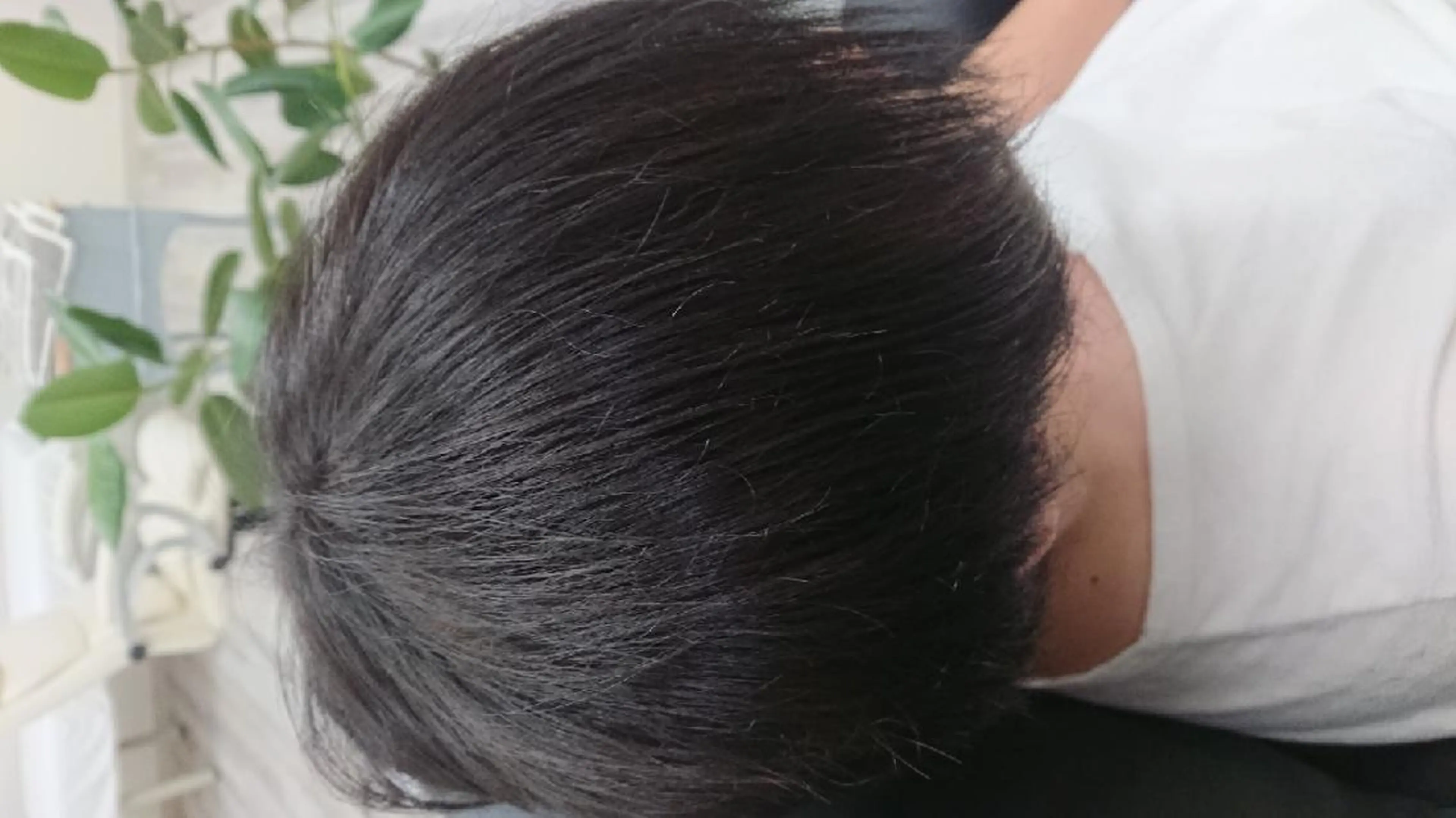 井之上 桂のヘアスタイル