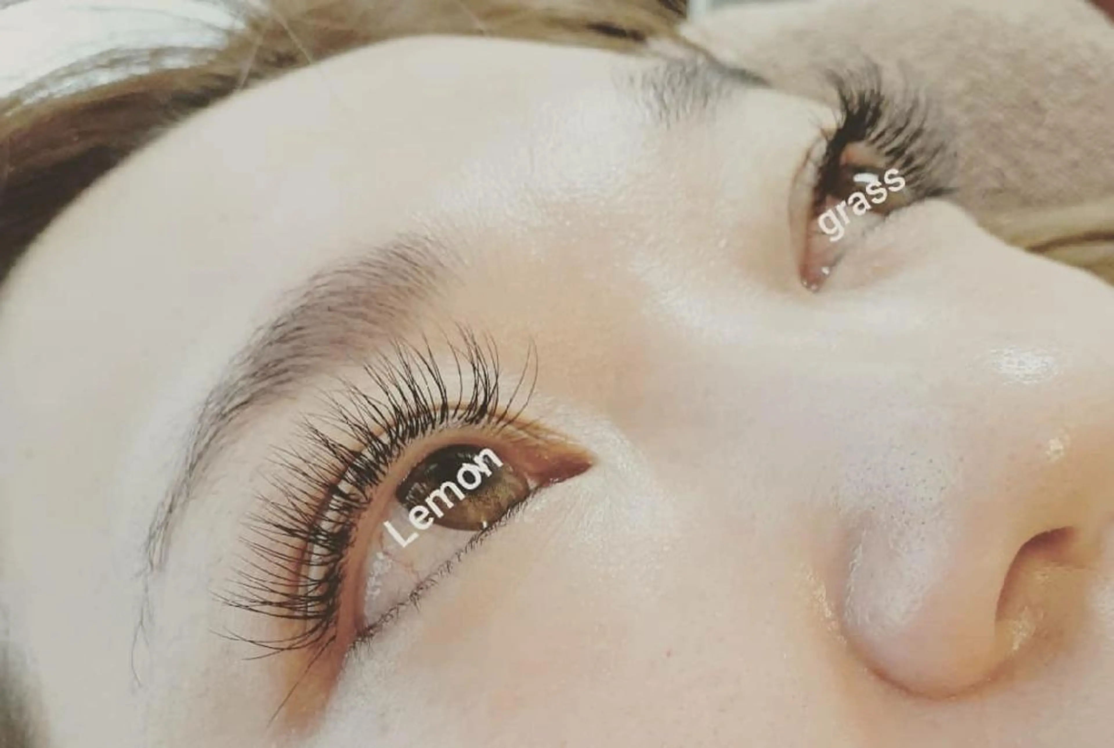 マツエク・マツパ Dカール Lemon grassのマツエク・マツパデザイン