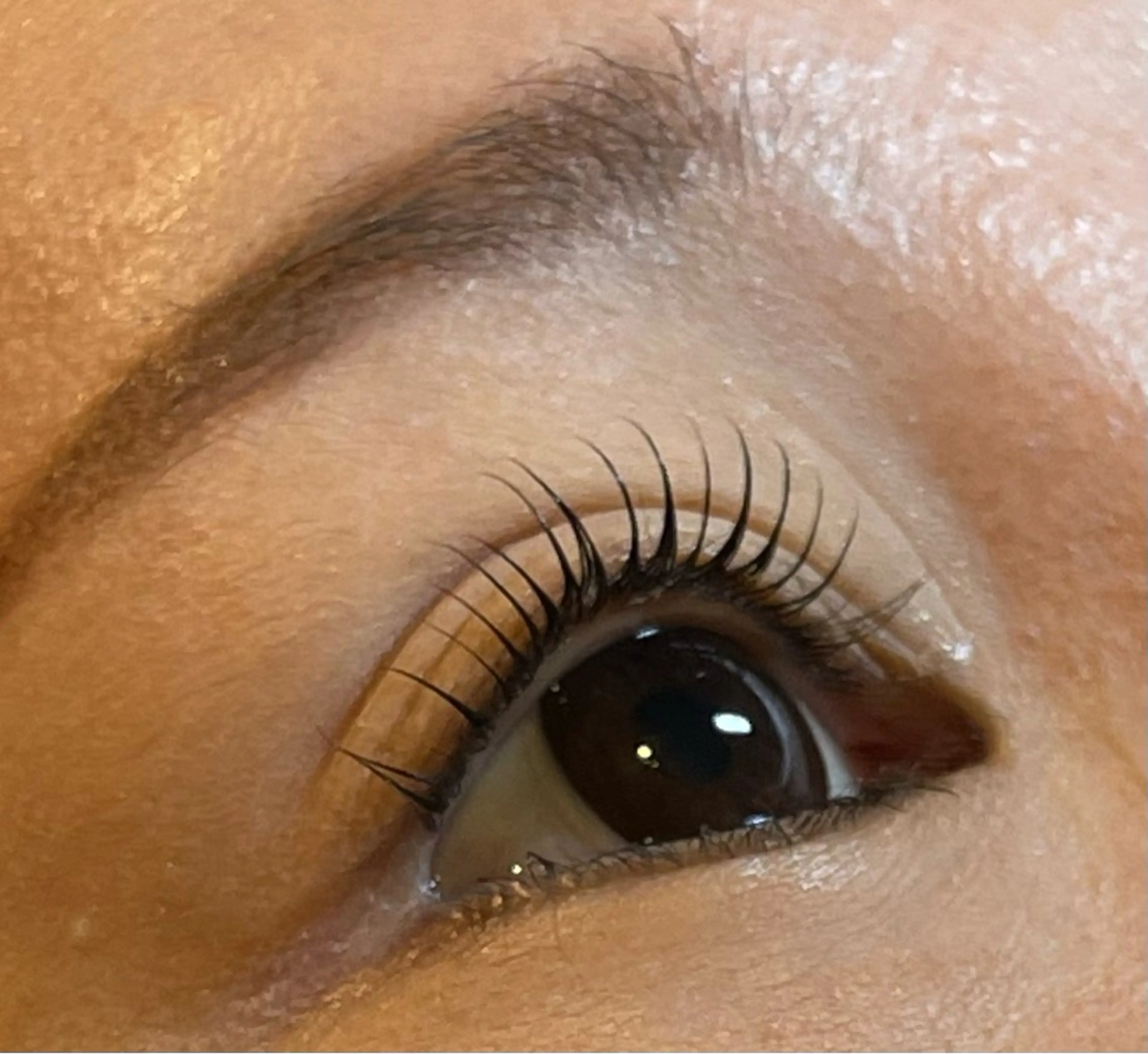 マツエク・マツパ Venus Beauty銀座のマツエク・マツパデザイン