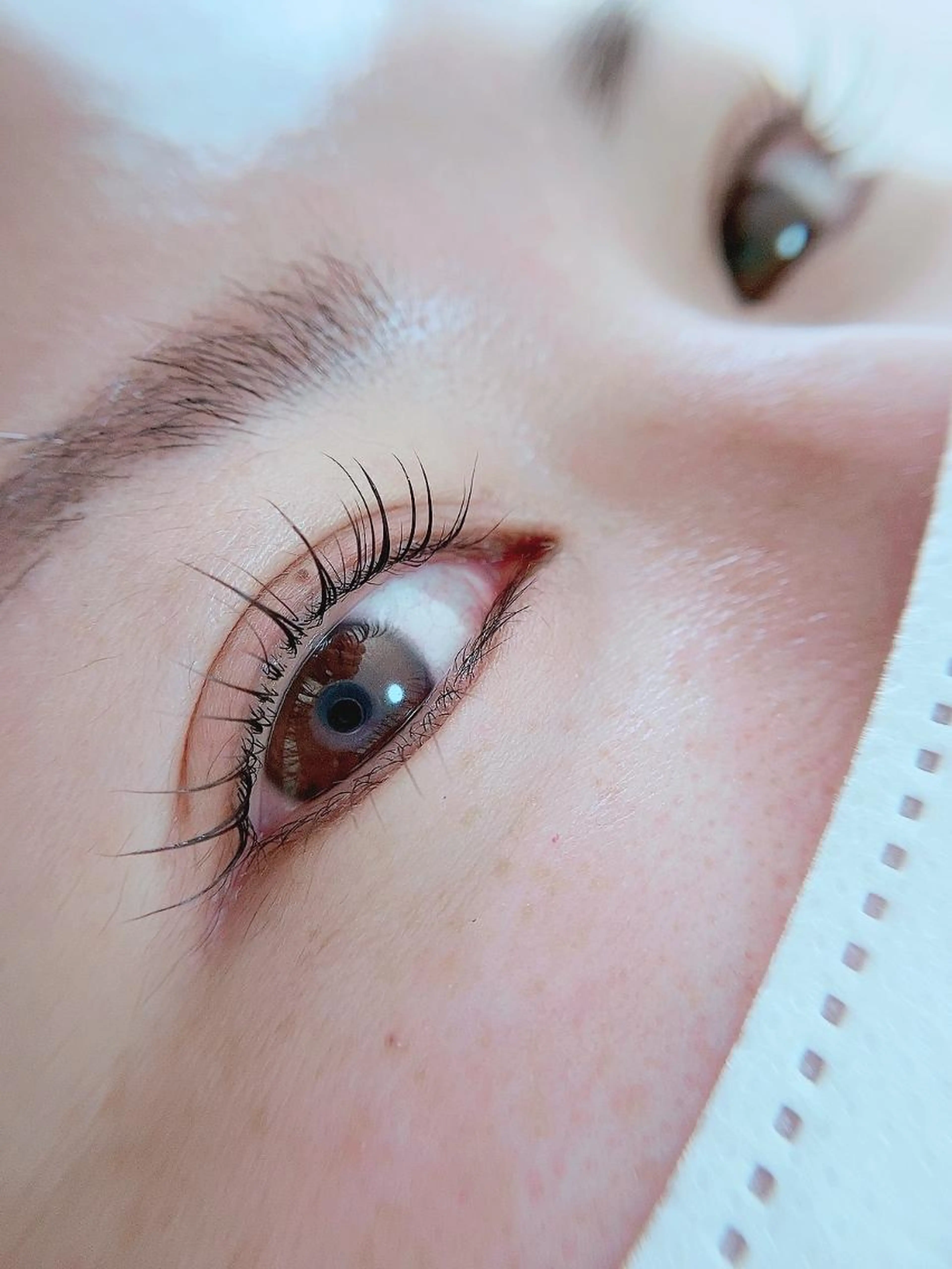 まつ毛パーマ　トリートメント付きの写真