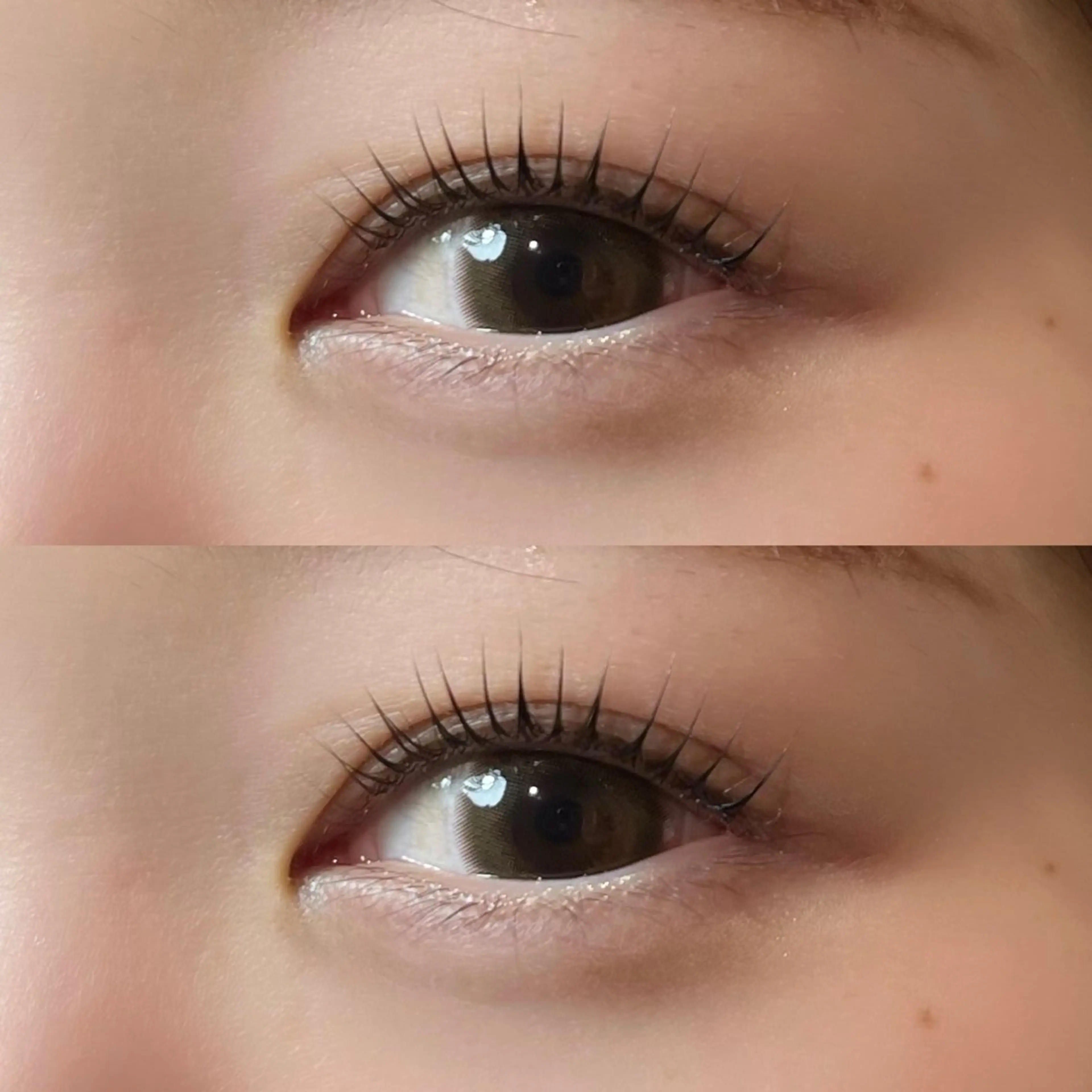 マツエク・マツパ 𝒆𝒊𝒈𝒉𝒕 杏花のマツエク・マツパデザイン