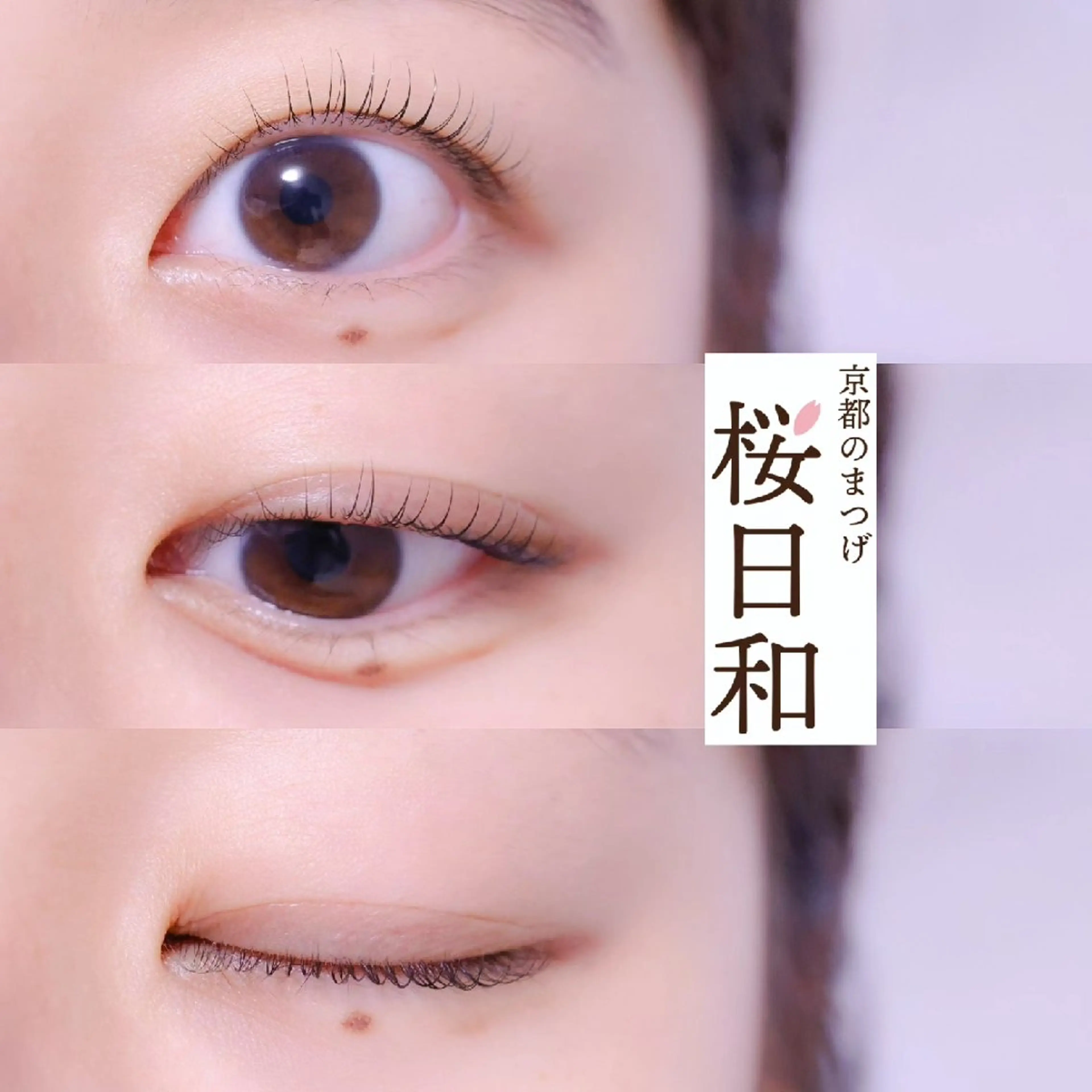 マツエク・マツパ マツパ 京都のまつげ桜日和 小島美桜のマツエク・マツパデザイン