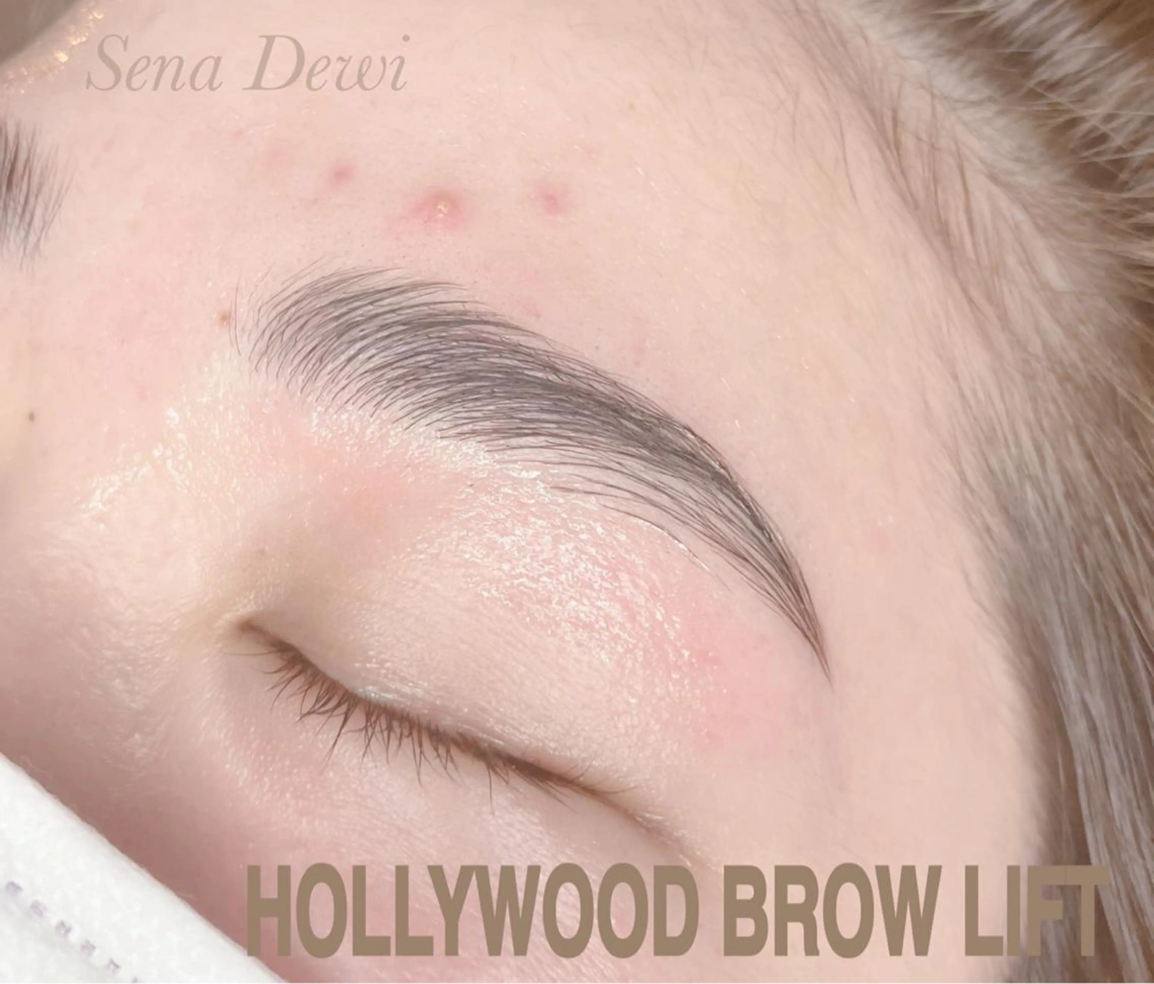 アイブロウ Sena Dewi Yukiの眉毛・アイブロウイメージ