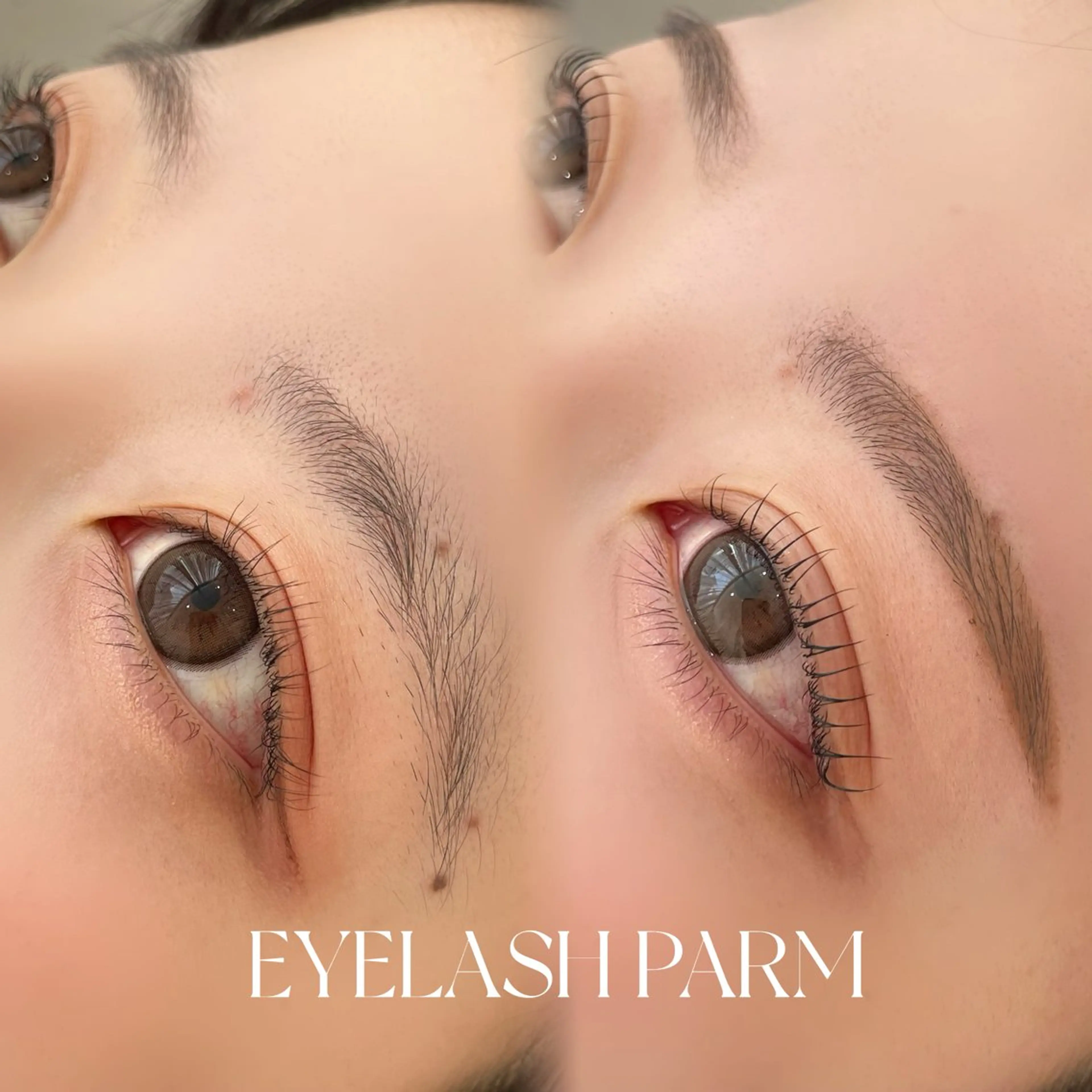 マツエク・マツパ 束感まつ毛 ナチュラル 一重×まつ毛パーマ Nae.所属・眉毛/まつ毛/代官山 アイサロン🌻NAEのマツエク・マツパデザイン