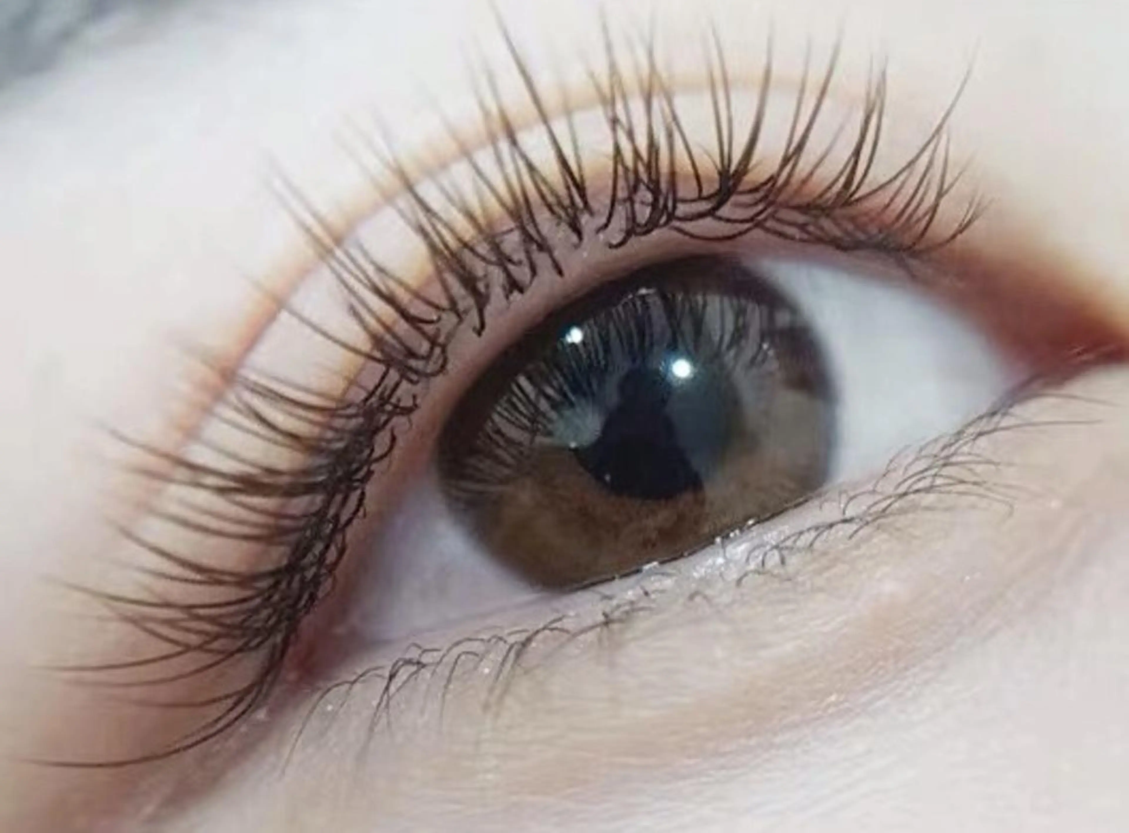 マツエク・マツパ 付け放題 フラットラッシュ ミンク セーブル Cute beauty2のマツエク・マツパデザイン