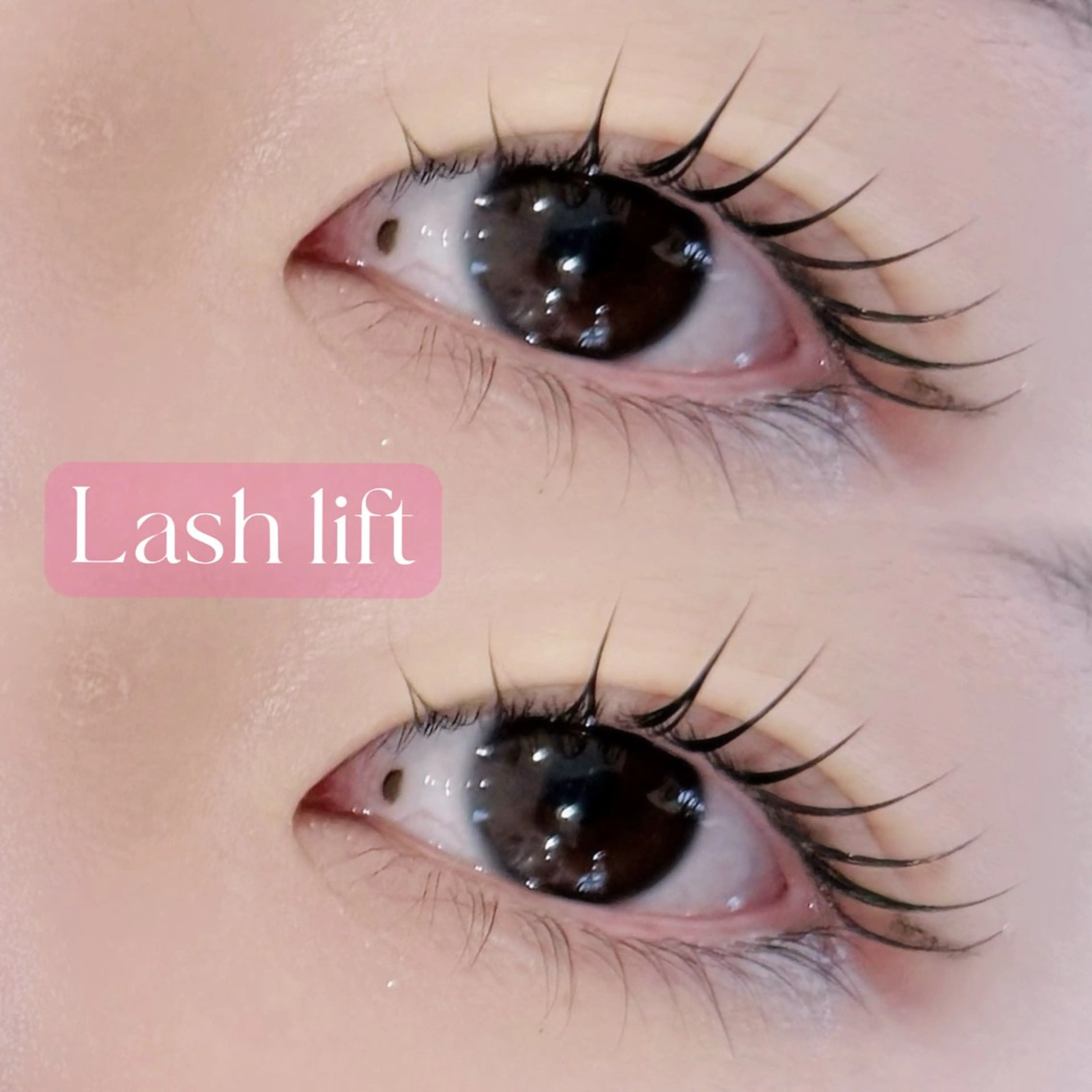 マツエク・マツパ マツパ ラソ今治店(束本店) 木村のマツエク・マツパデザイン