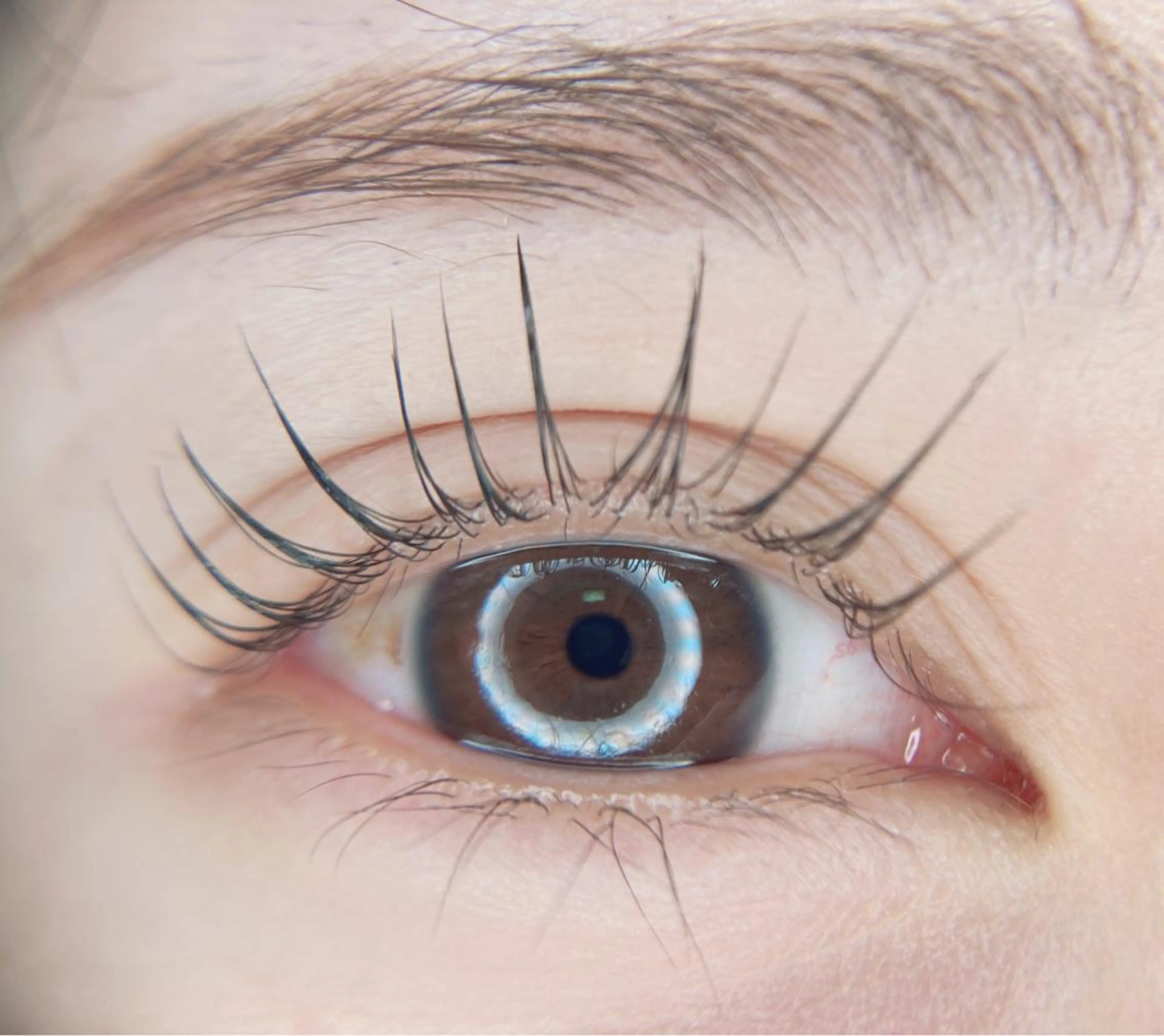 マツエク・マツパ マツパ －Ojiー セナのマツエク・マツパデザイン