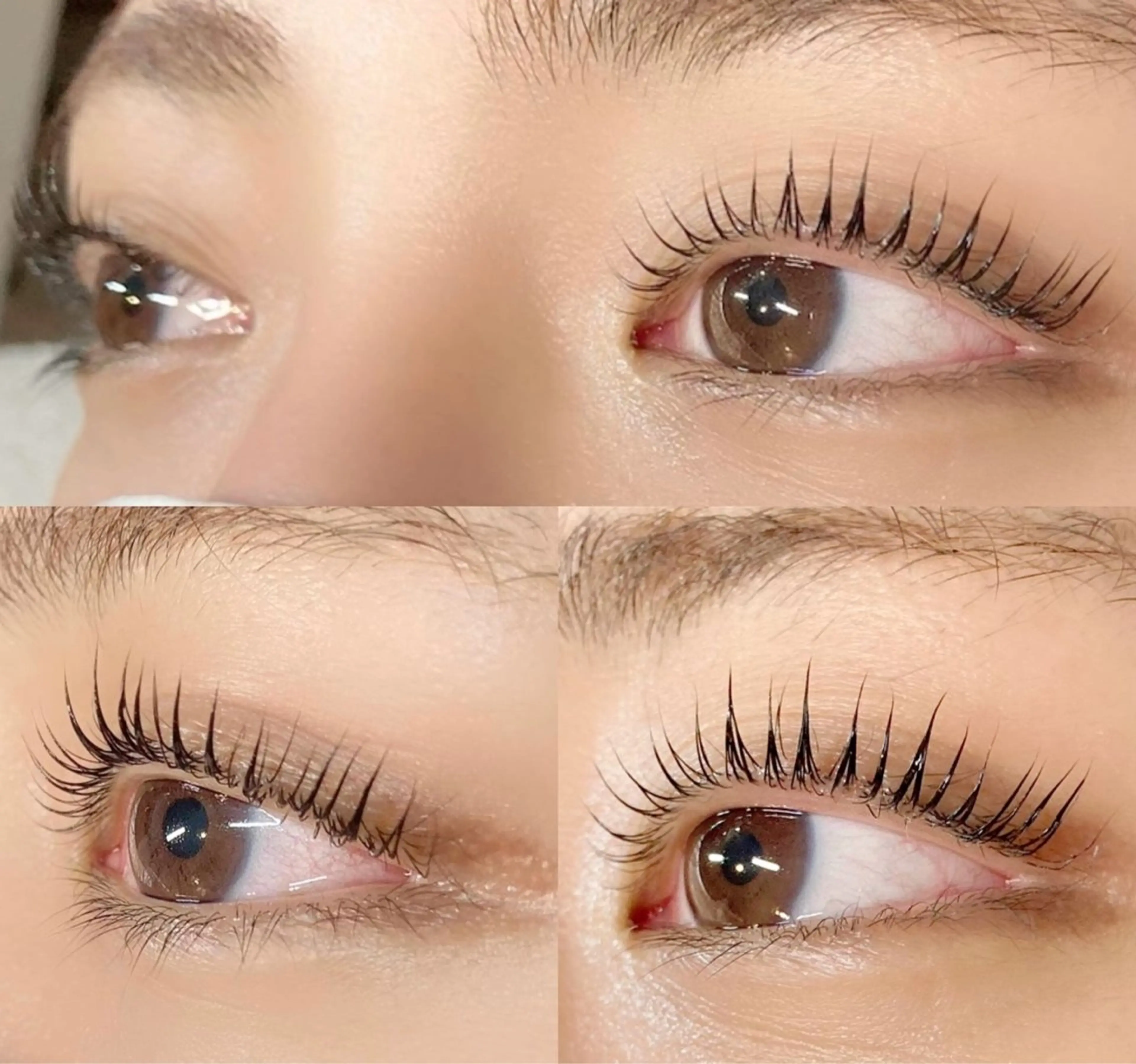 マツエク・マツパ Amira/アミーラ YU-KA🤍のマツエク・マツパデザイン