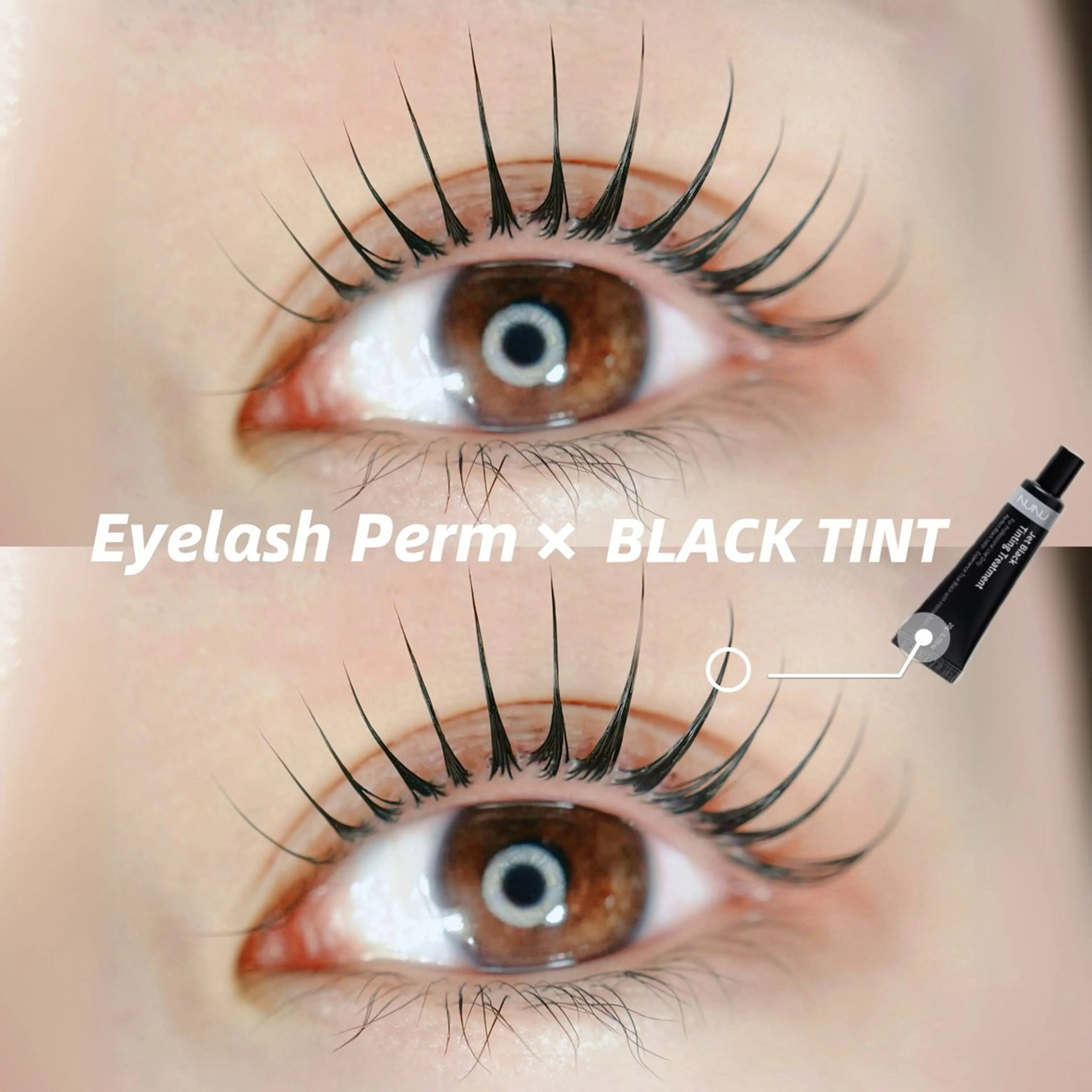 大人気🎀韓国で話題🌟マスカラパーマ(ティント)【似合わせまつげパーマ】¥6,700の写真