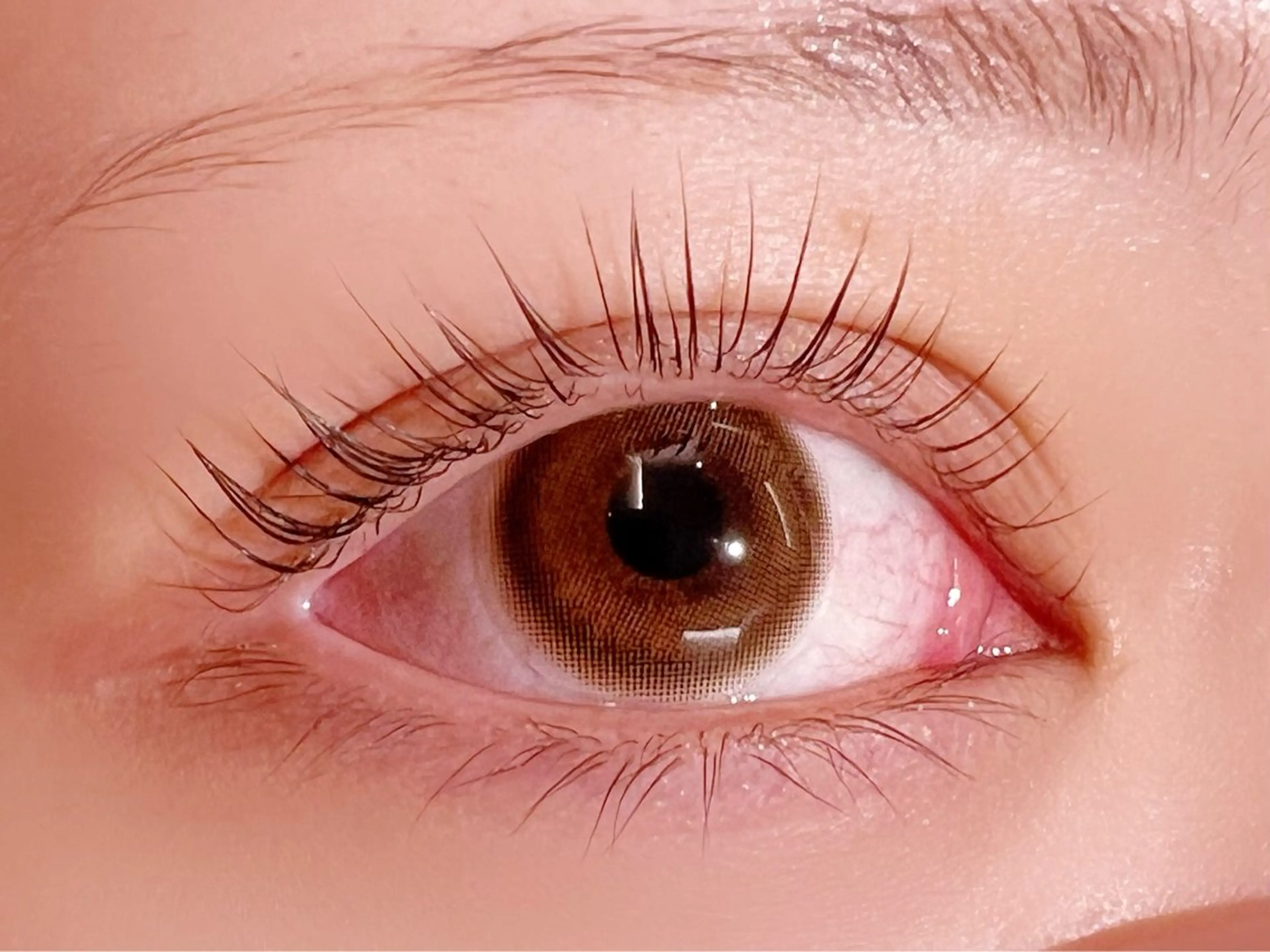 ラッシュリフト/パリジェンヌ ¥6600の写真