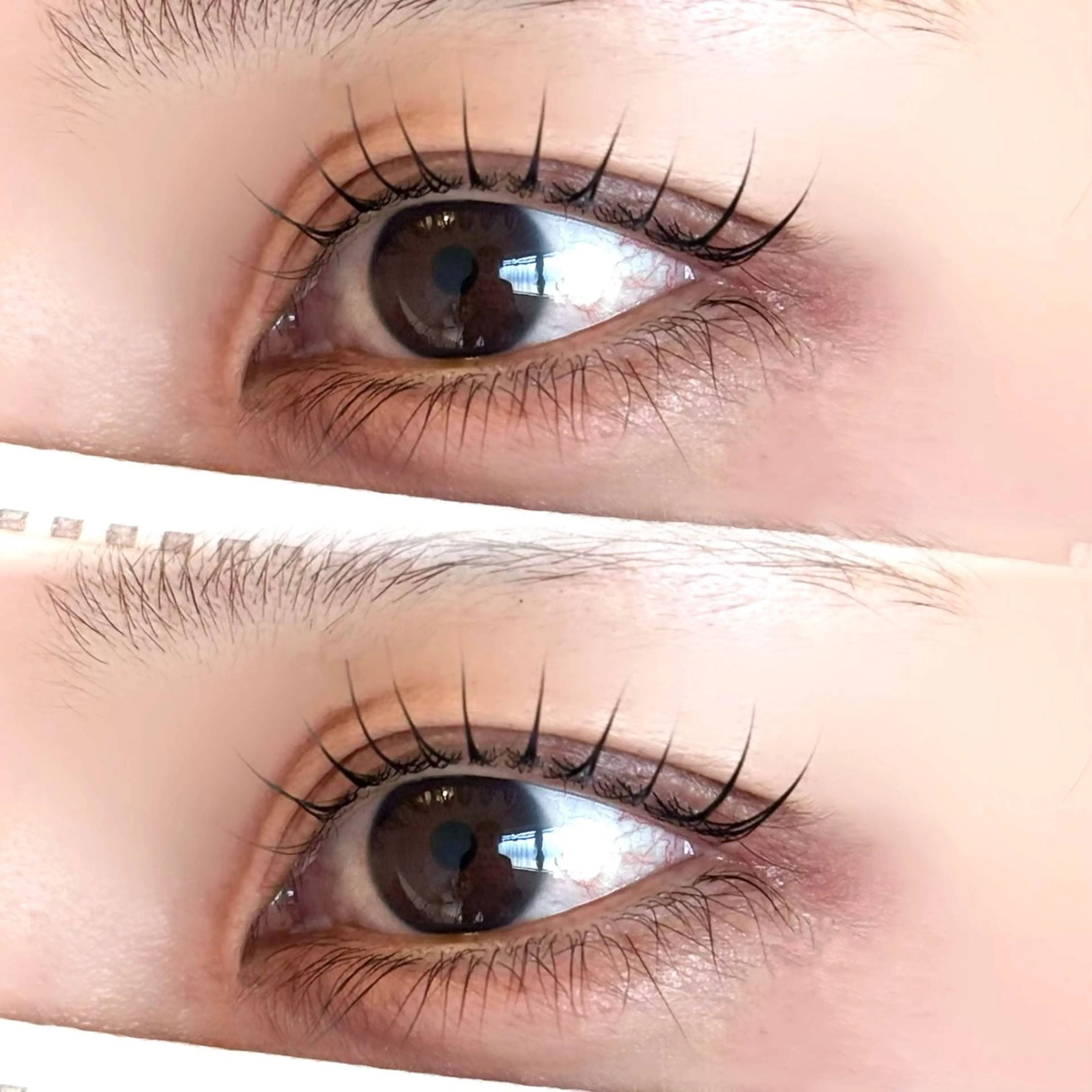 マツエク・マツパ マツパ 由寿| まつパモデル募集中✨のマツエク・マツパデザイン