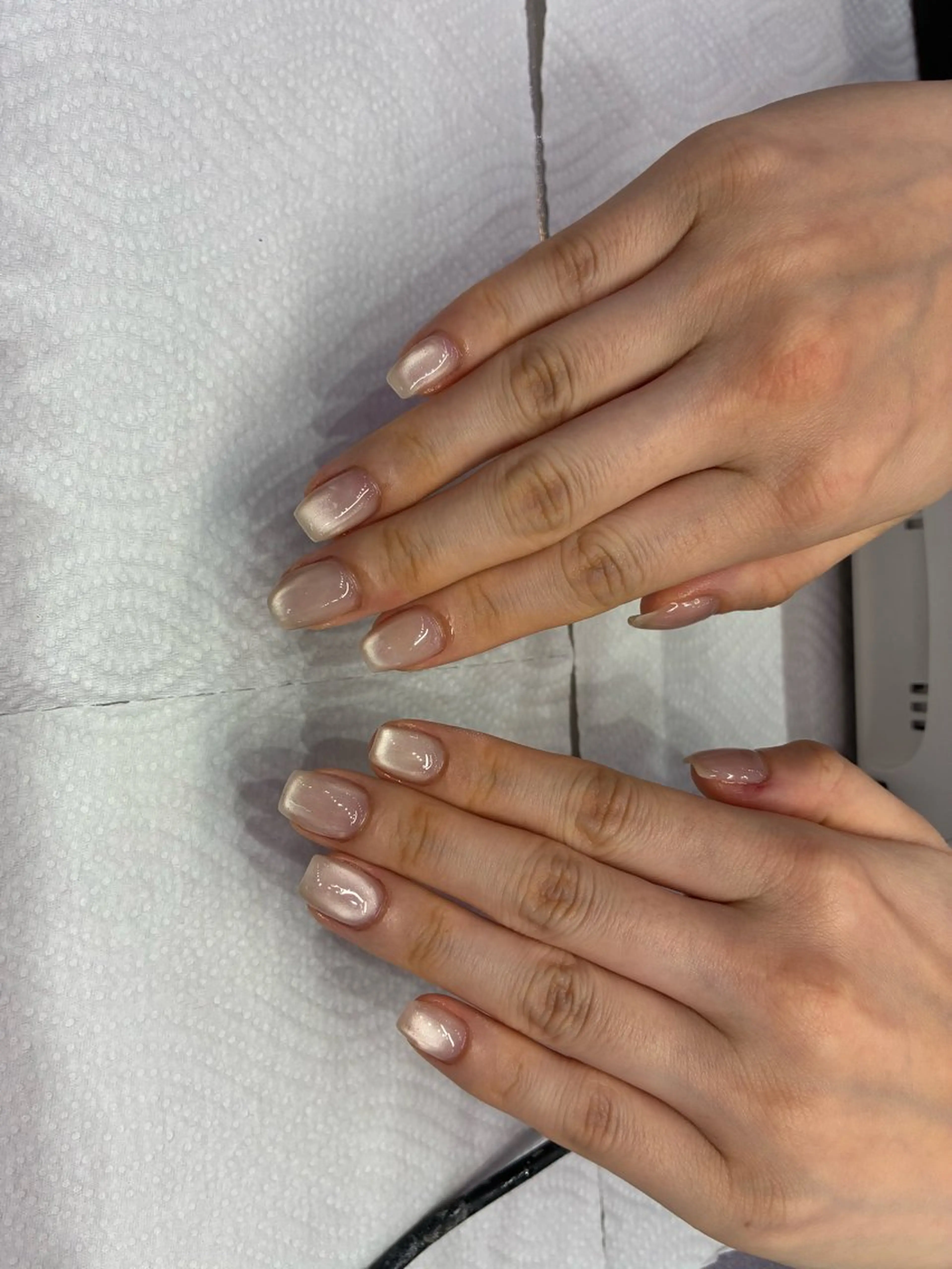 ネイル マグネットネイル ワンカラーネイル Venus belt /LOVEのネイルデザイン