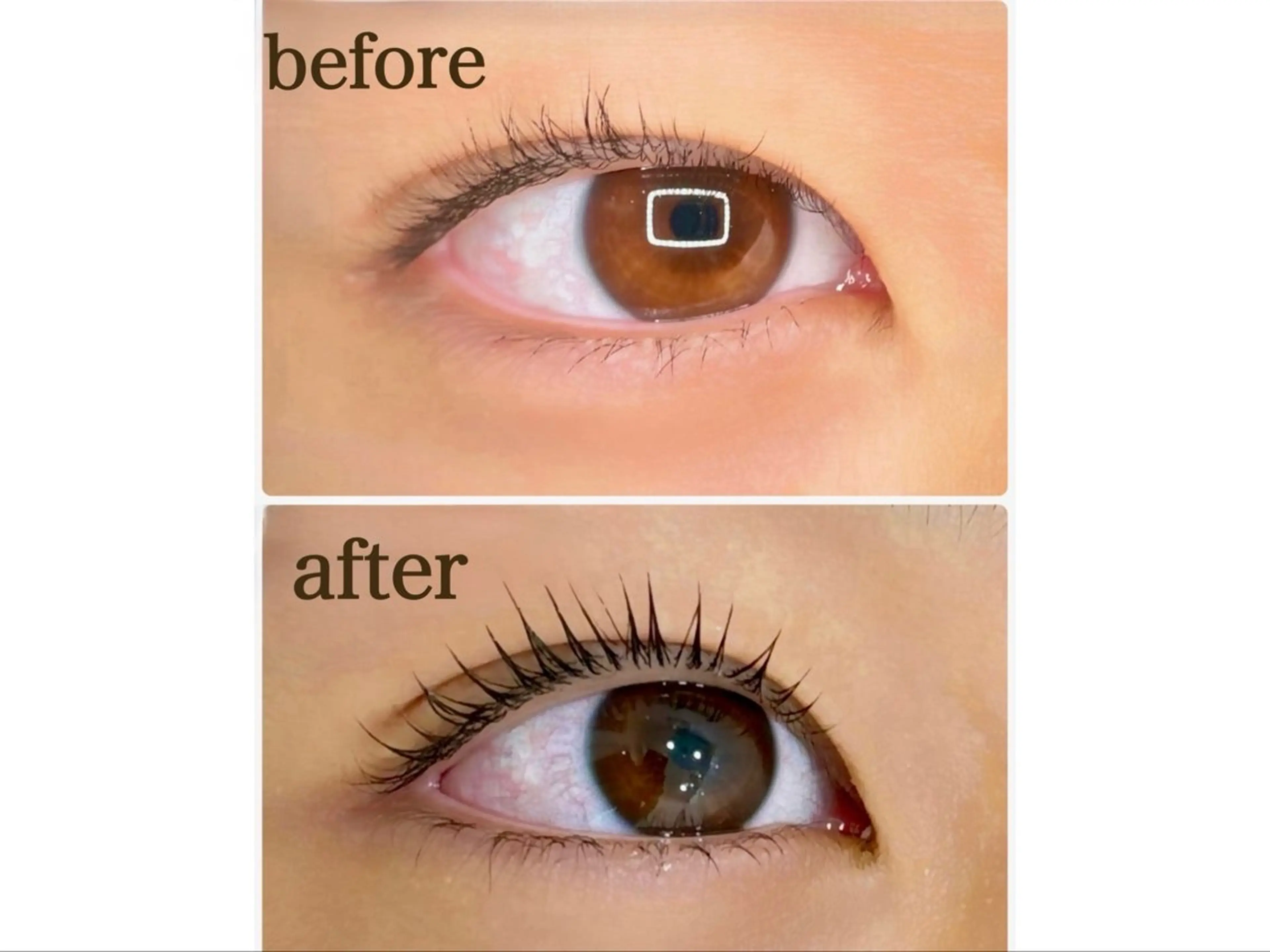 マツエク・マツパ AsK所属・AsK hair& eye 瞳のマツエク・マツパデザイン