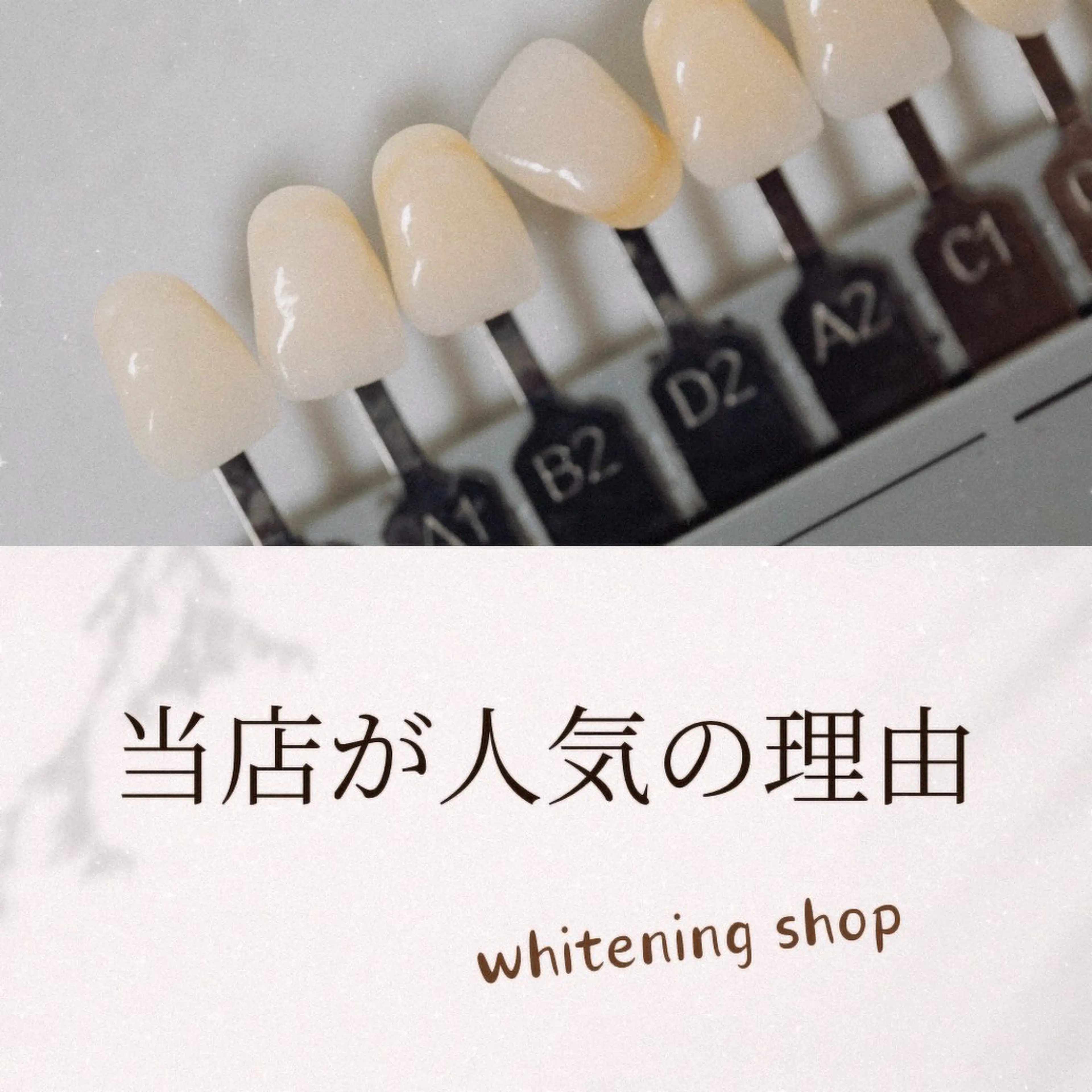 その他 ホワイトニング ショップ津店のその他イメージ