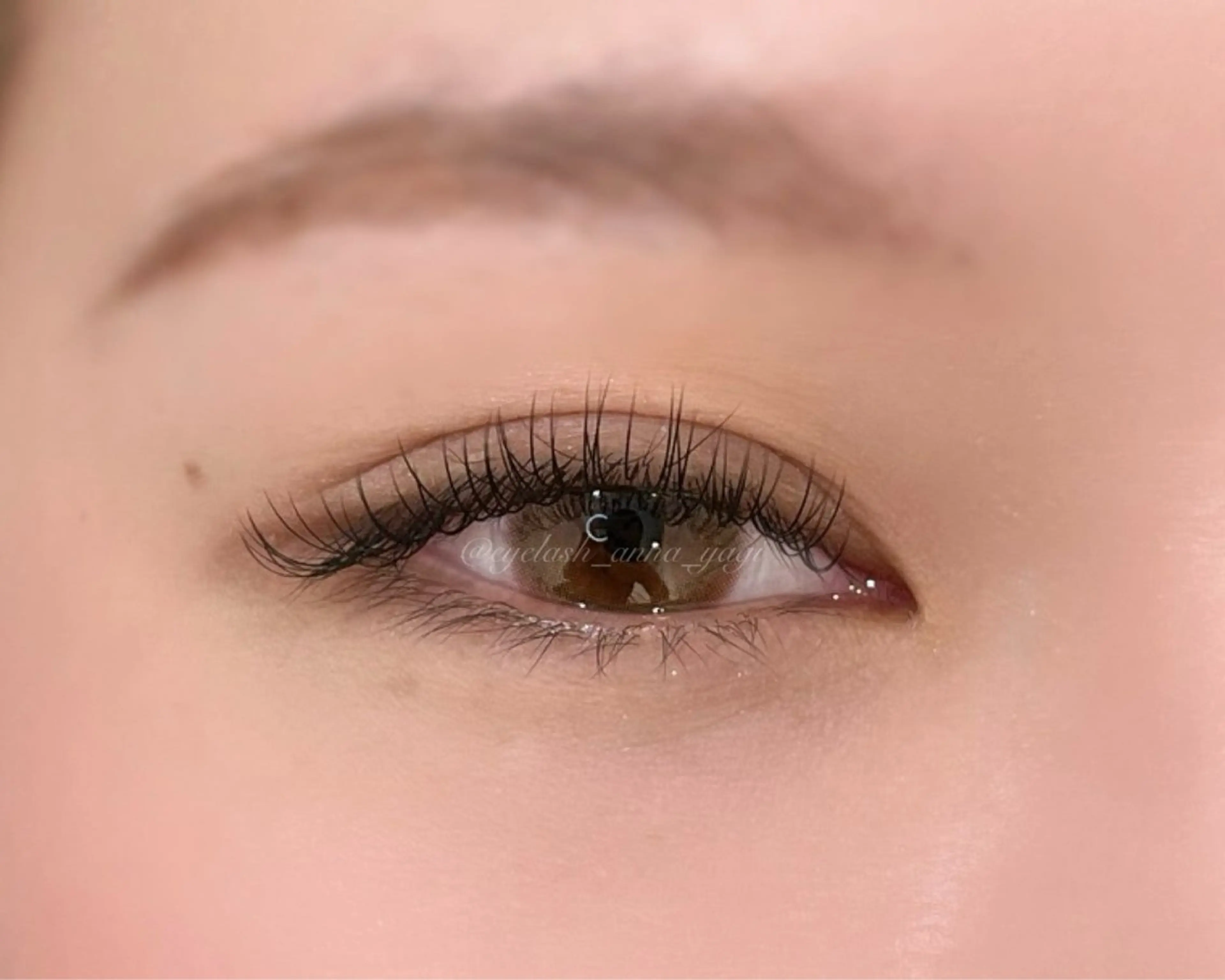 🌼フラットラッシュ100本🌼の写真