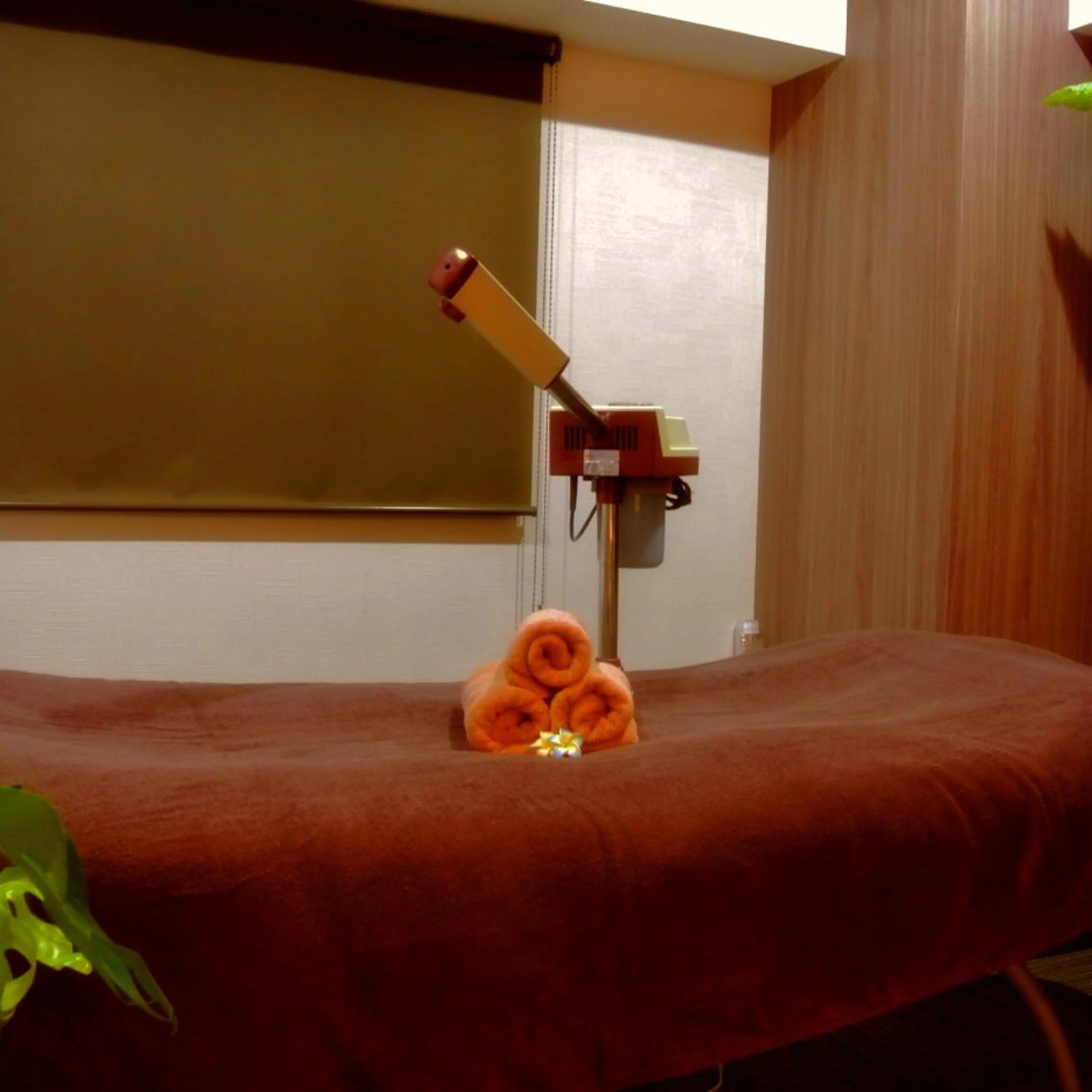 サロン プランギのその他イメージ