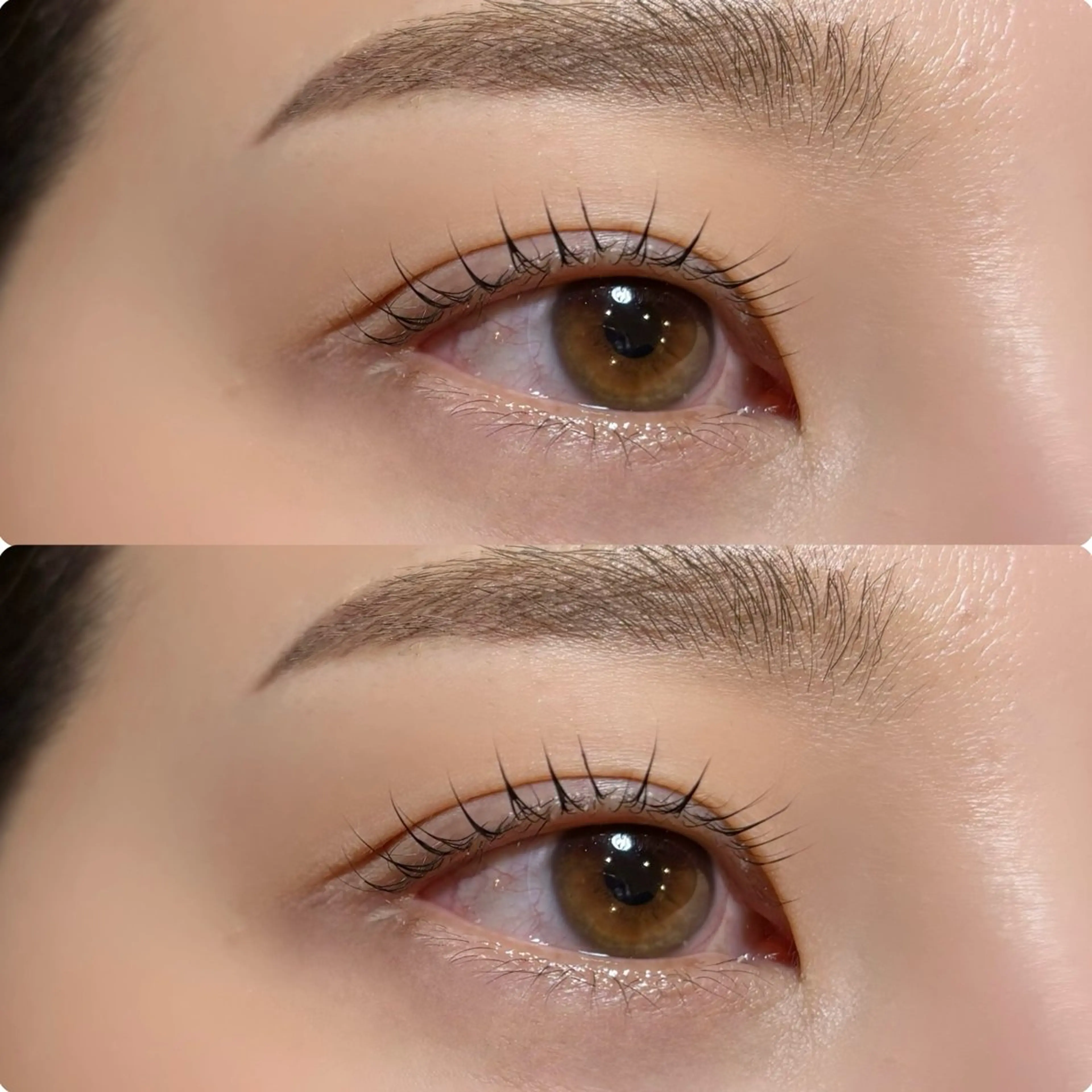 マツエク・マツパ meguru／マツパ ／マツエク／束感のマツエク・マツパデザイン