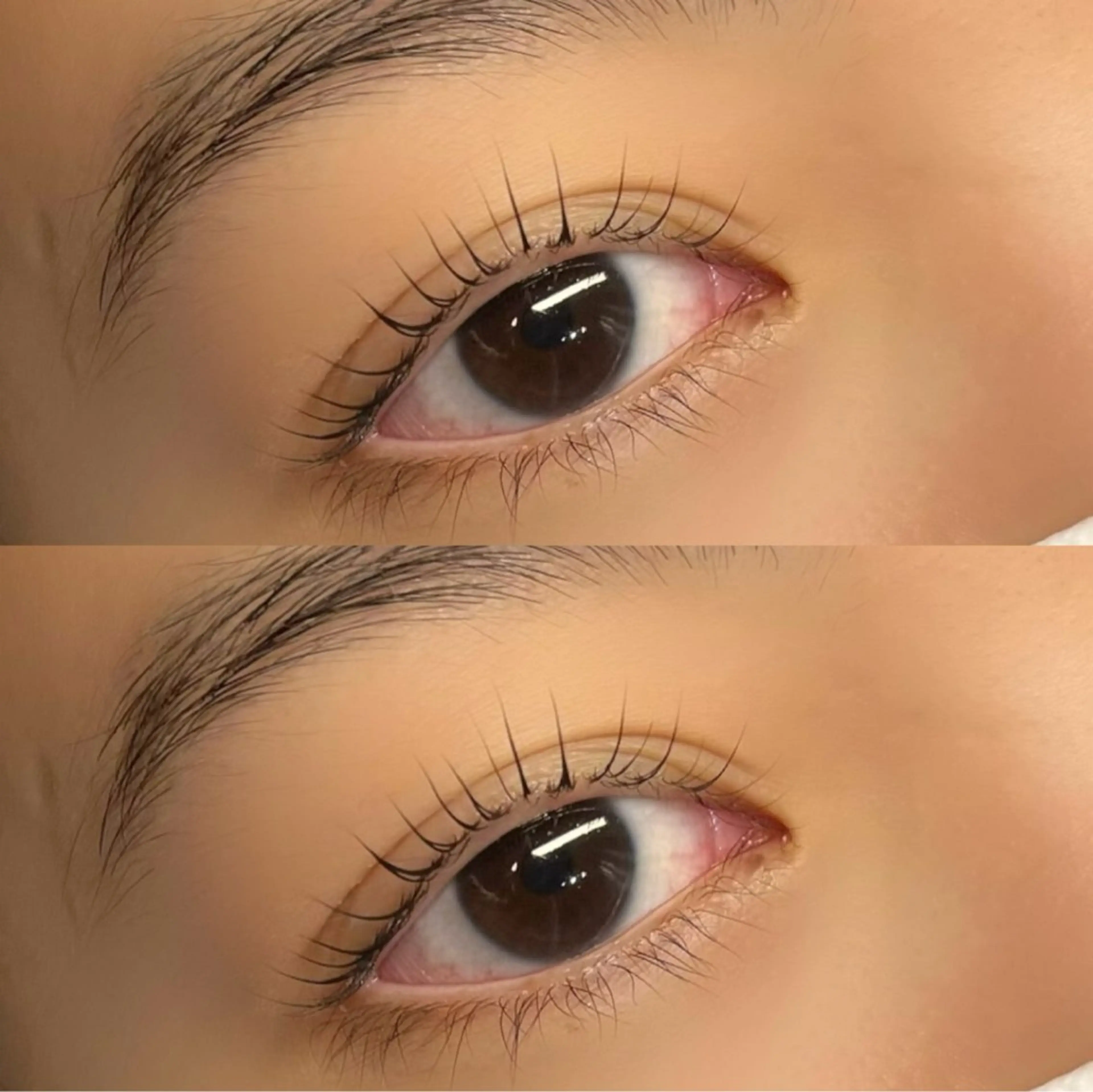 マツエク・マツパ マツパ Lumina miyabiのマツエク・マツパデザイン