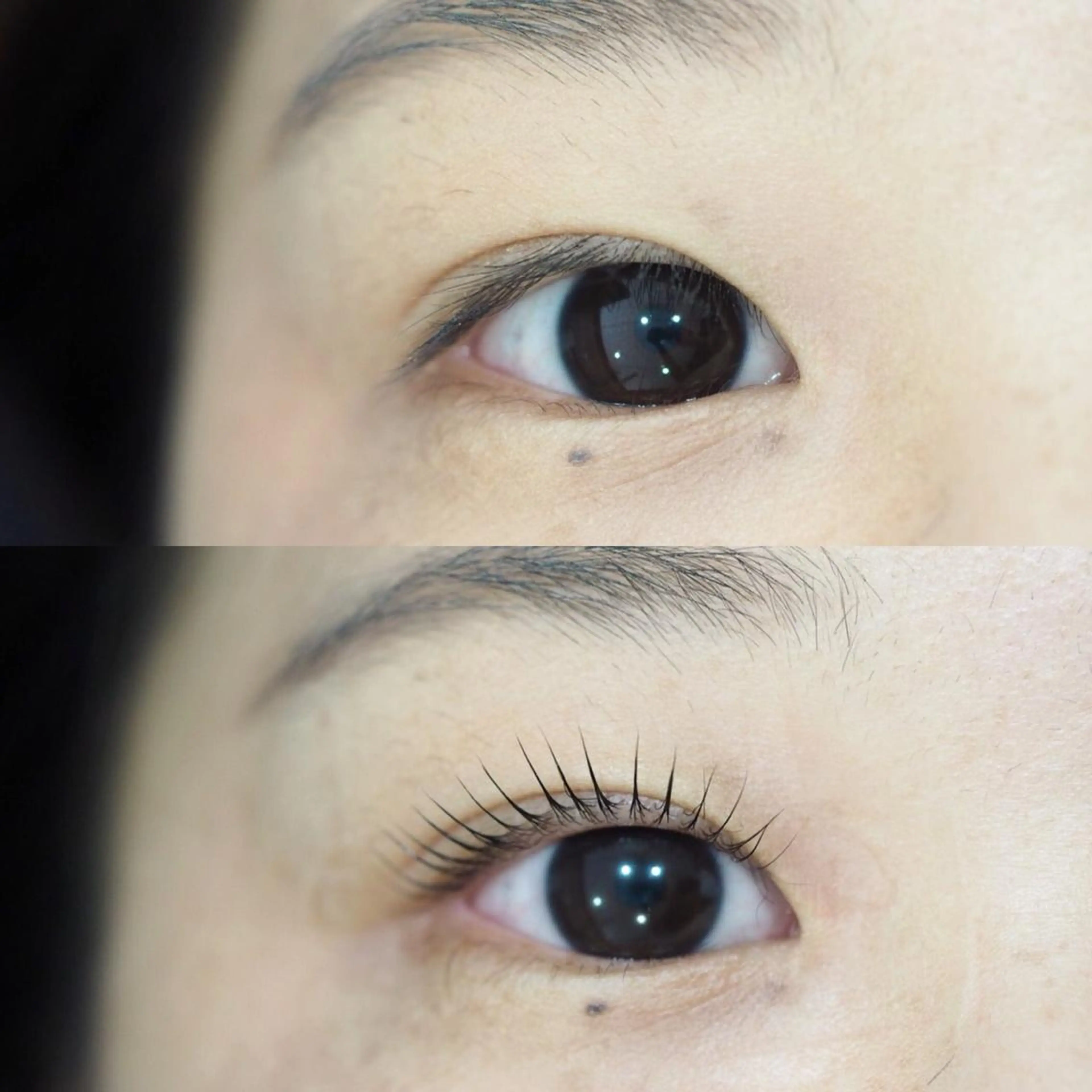 マツエク・マツパ PERFECT  LASH スタジオ所属・🏆世界大会優勝者 Akemiのマツエク・マツパデザイン