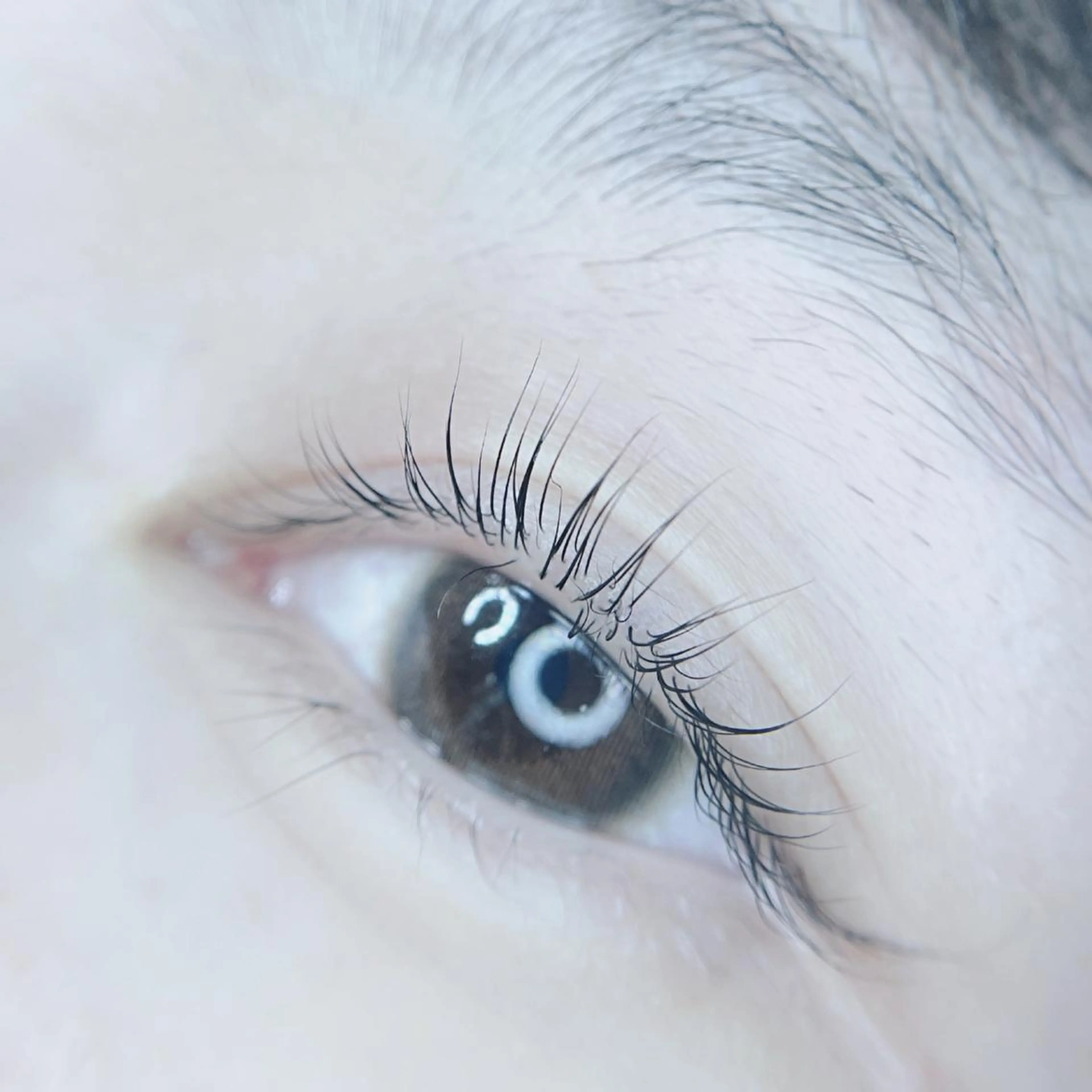 マツエク・マツパ foisalon 大久保店のマツエク・マツパデザイン