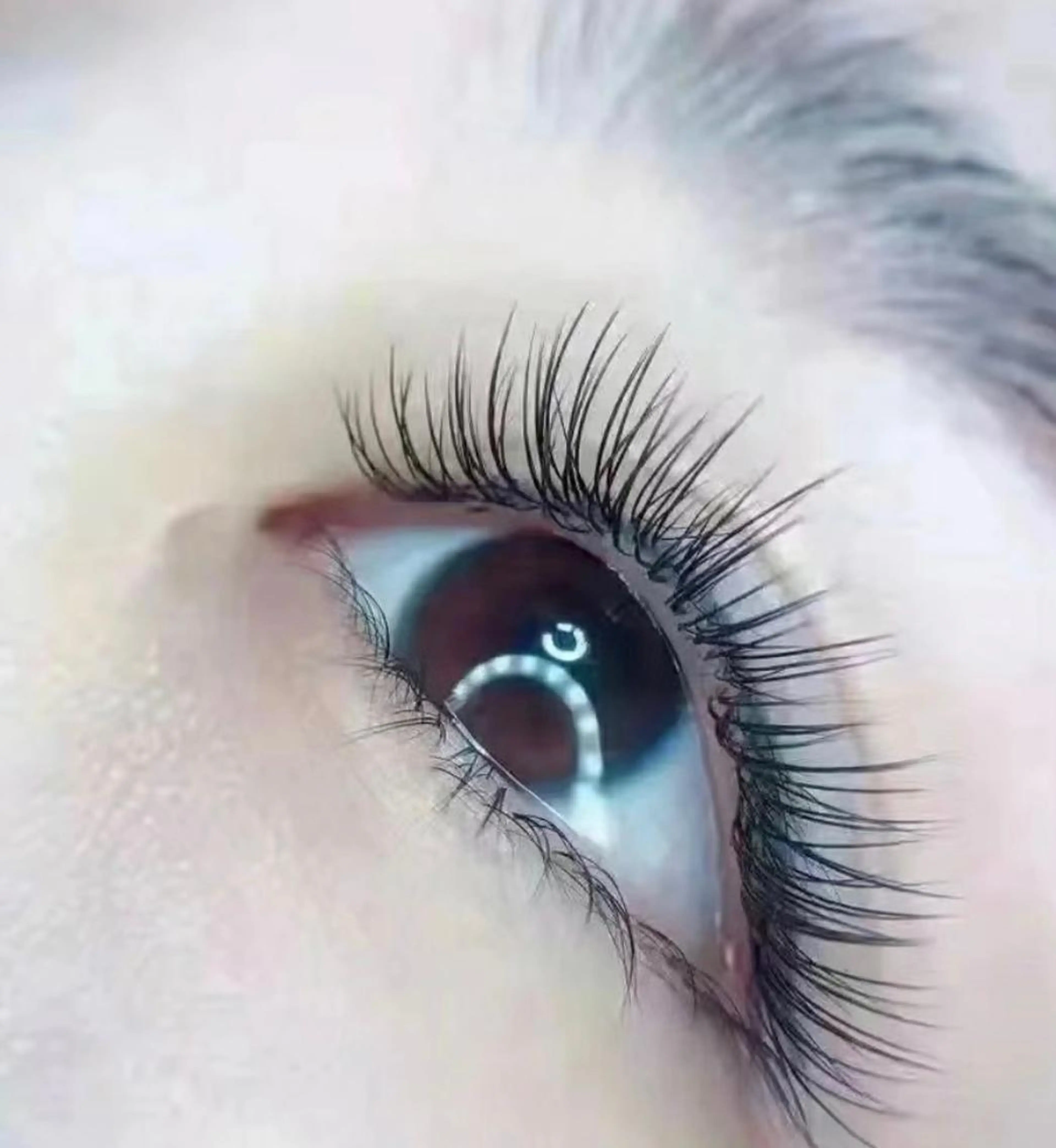 マツエク・マツパ フラットラッシュ マツエク EILIS& EYEのマツエク・マツパデザイン